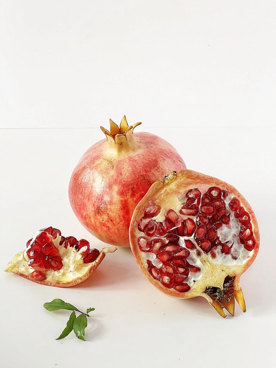 绘画素材|水果合集(二)