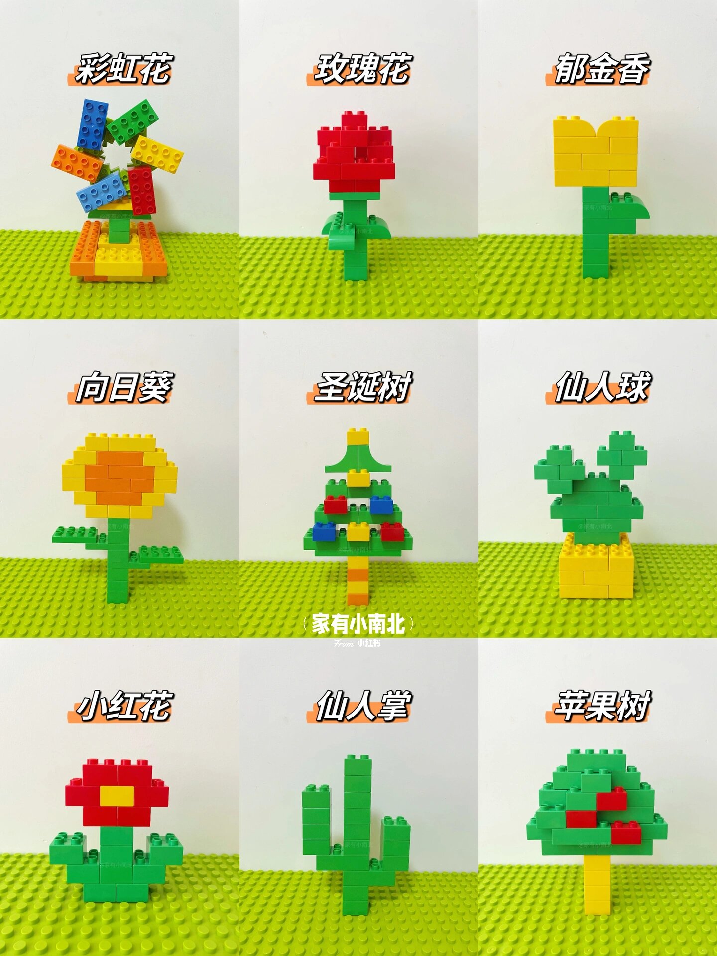 积木的100种拼搭|花草植物系列93
