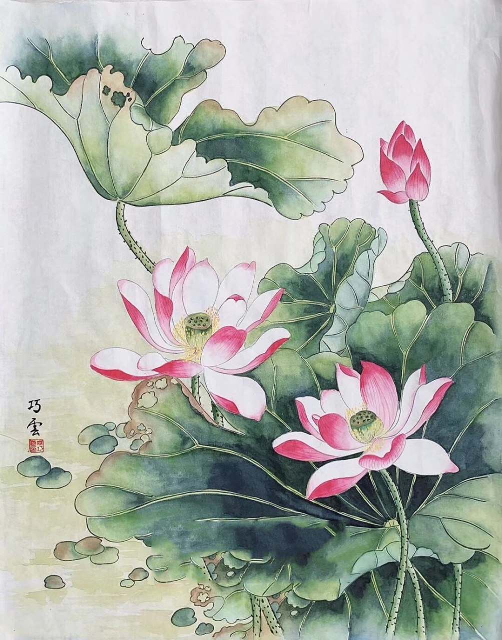 工笔 荷花(附步骤图) 出淤泥而不染 ,濯清涟而不妖 工笔跟写意不一样