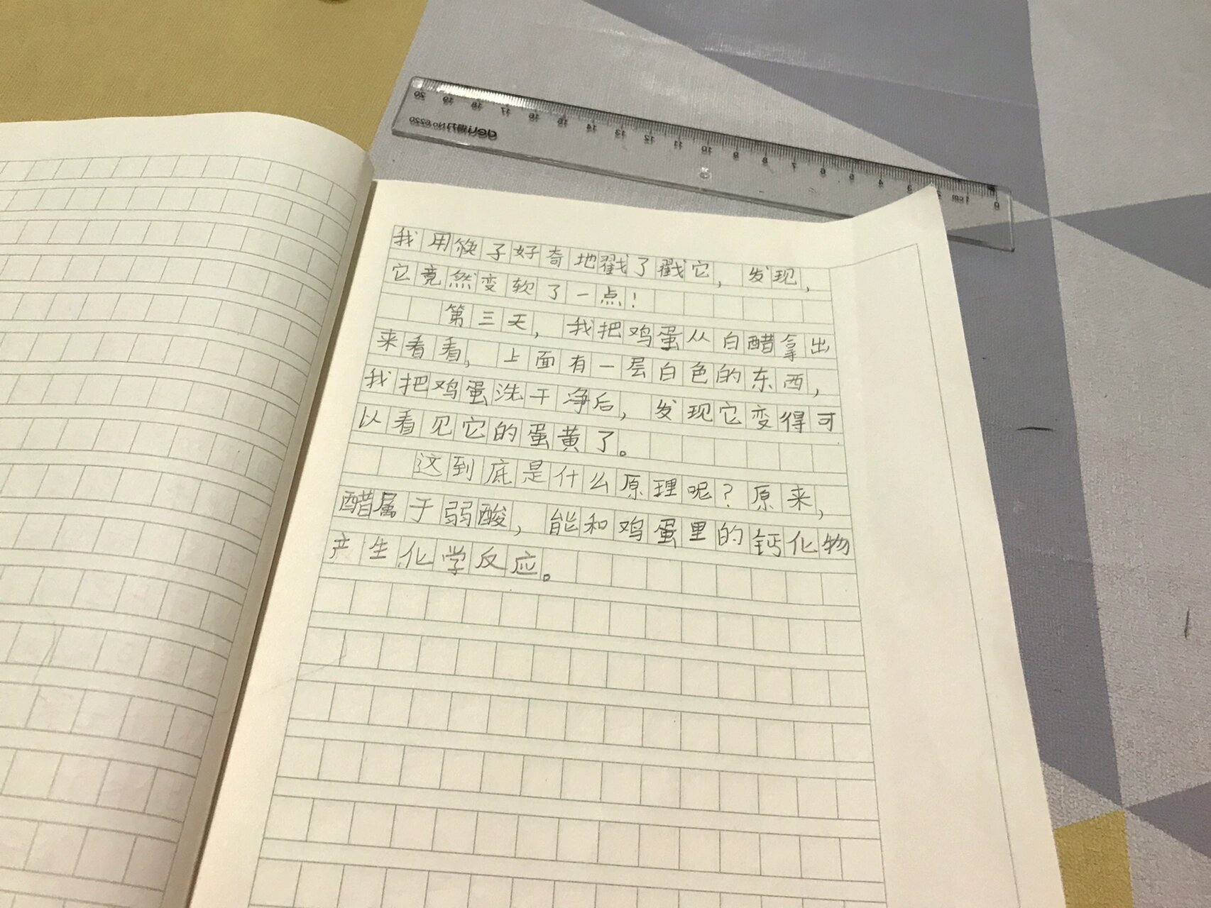 鸡蛋泡醋实验作文图片