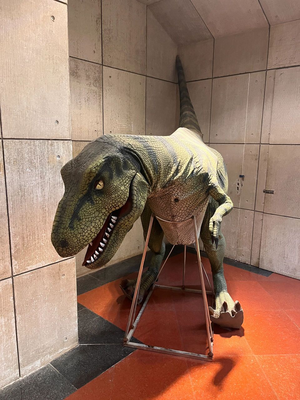 诸城旅游攻略|03恐龙博物馆03 诸城恐龙博物馆和暴龙馆在两个地方
