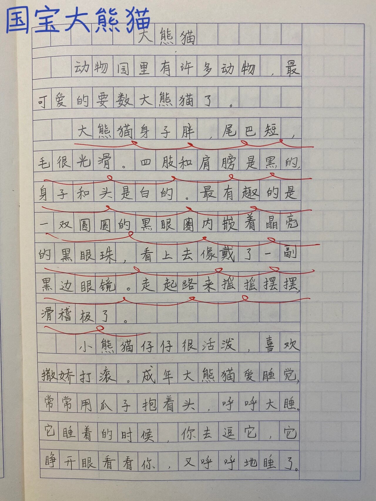 小学生作文/三下第七单元/国宝大熊猫