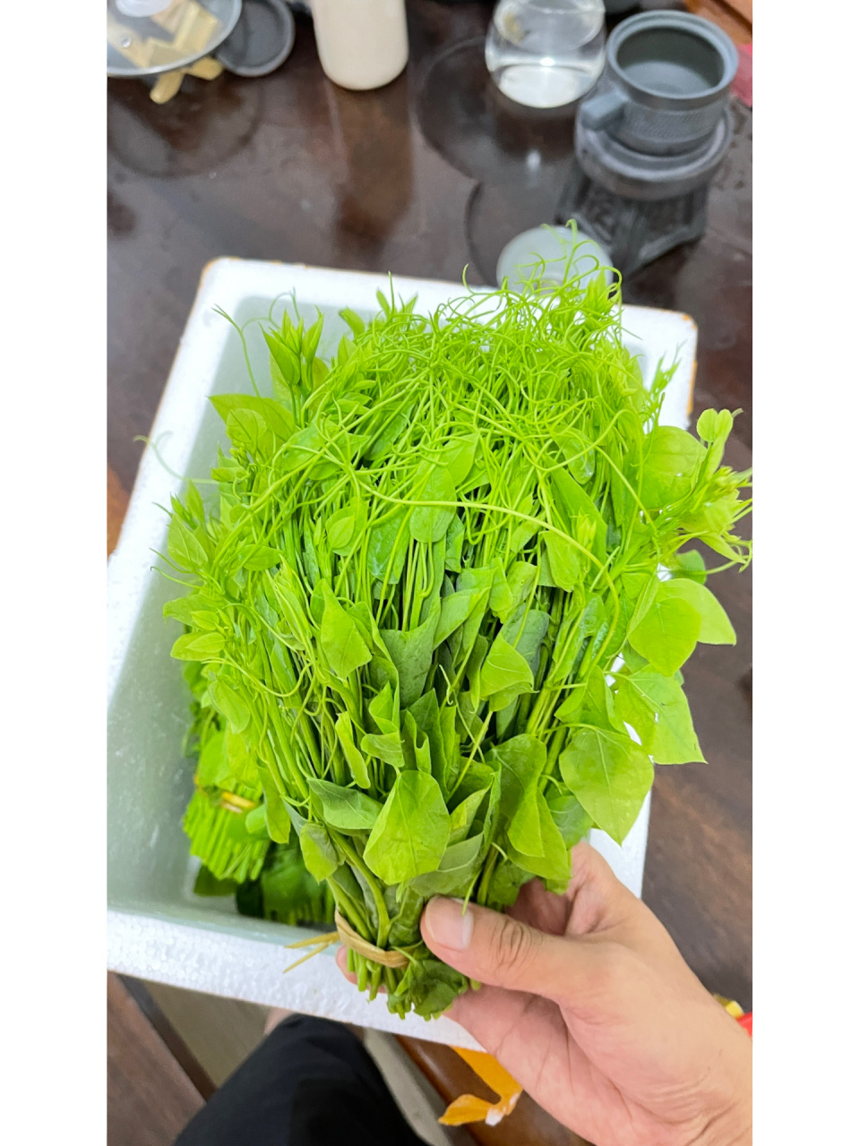 山间野菜,姑娘菜,辣木苗 脆口