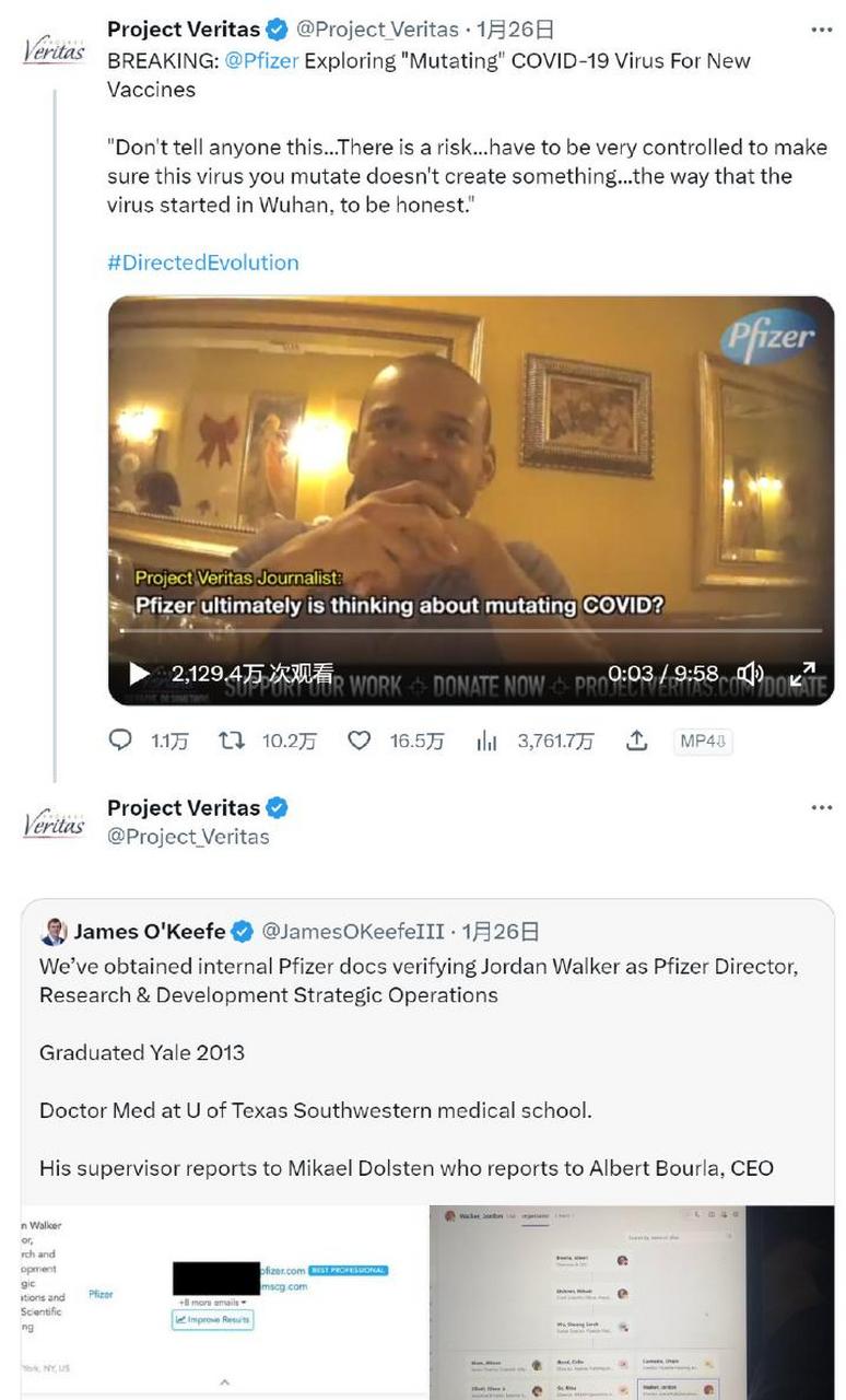 真相工程(project veritas)卧底辉瑞公司,并套话辉瑞研发部门主管博士