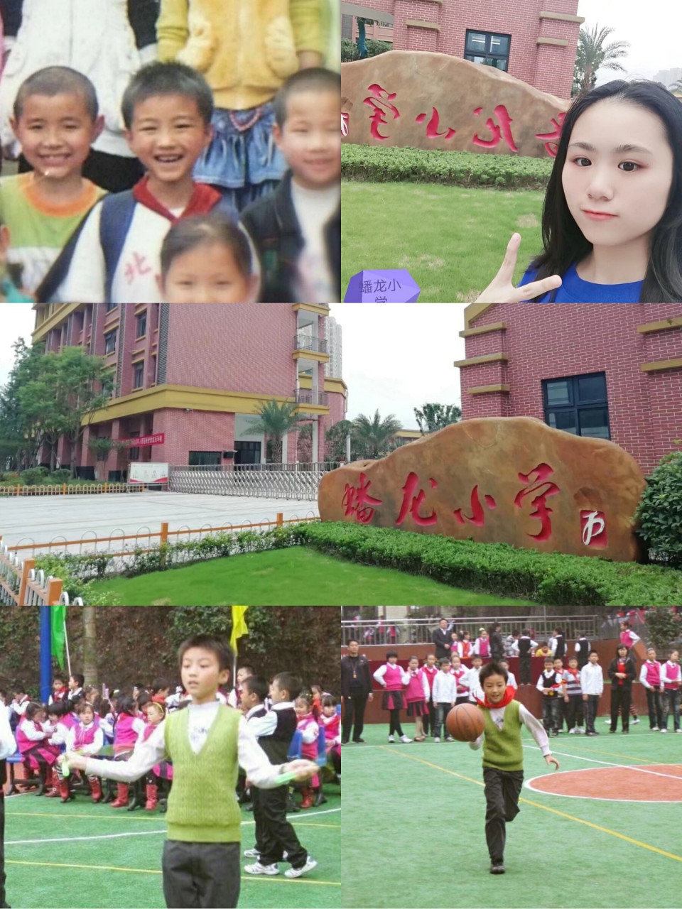 蟠龙小学图片