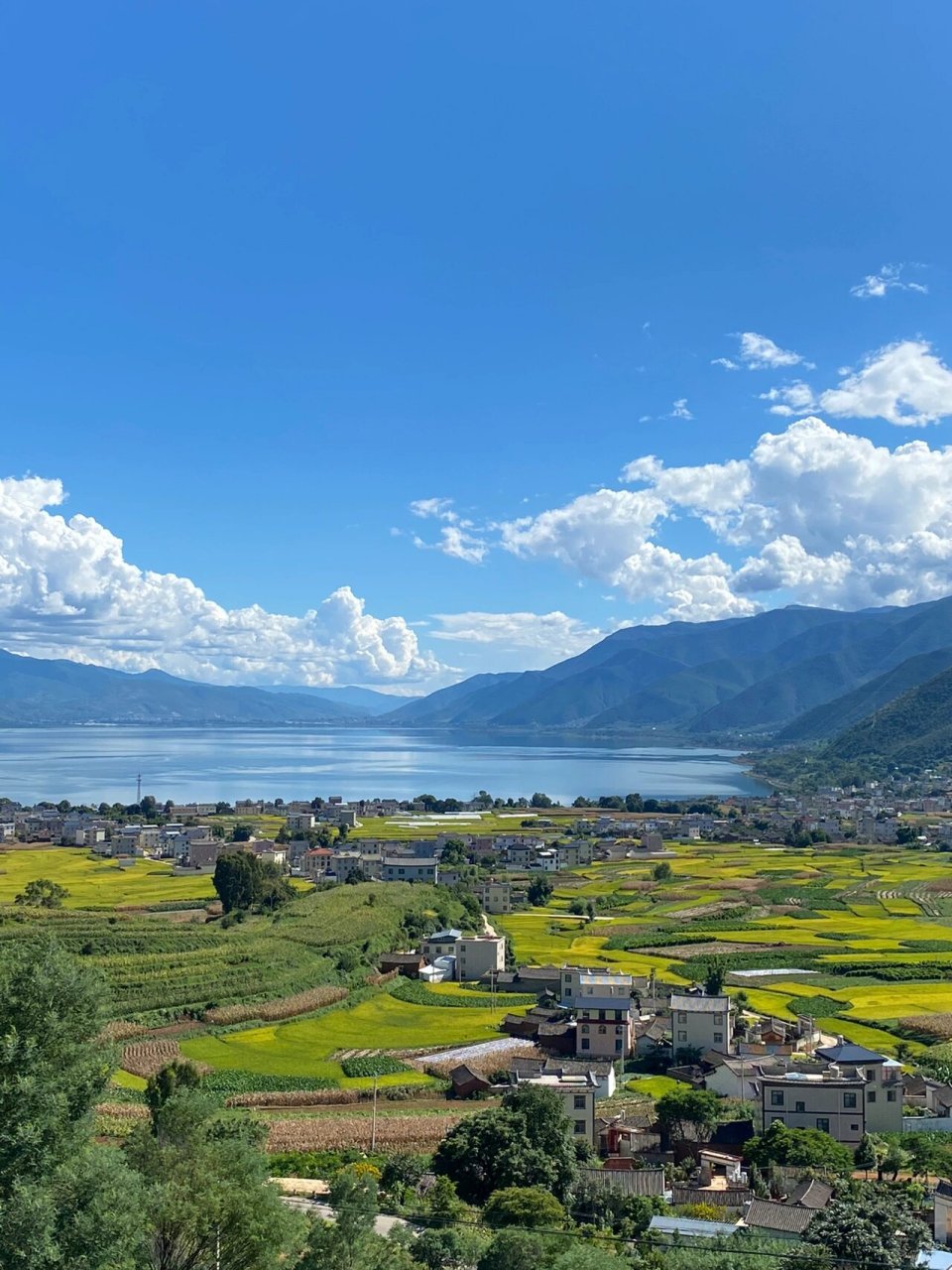 云南9大湖泊之程海,中国唯一天然螺旋藻湖泊 来云南十年,从来没有来过