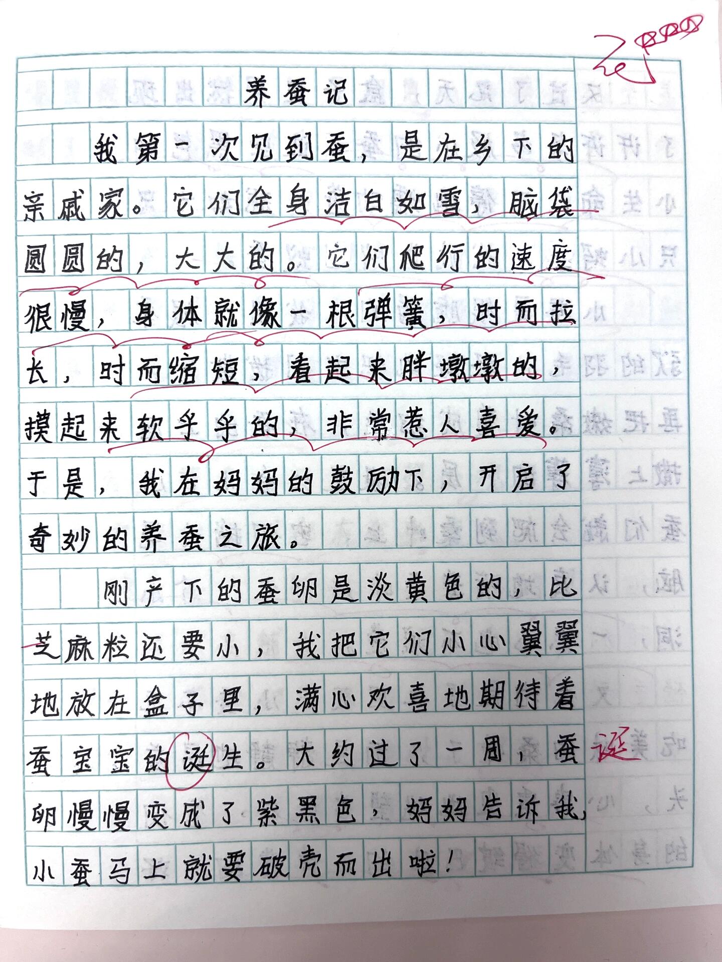 观察日记50个字(观察日记50字大全)