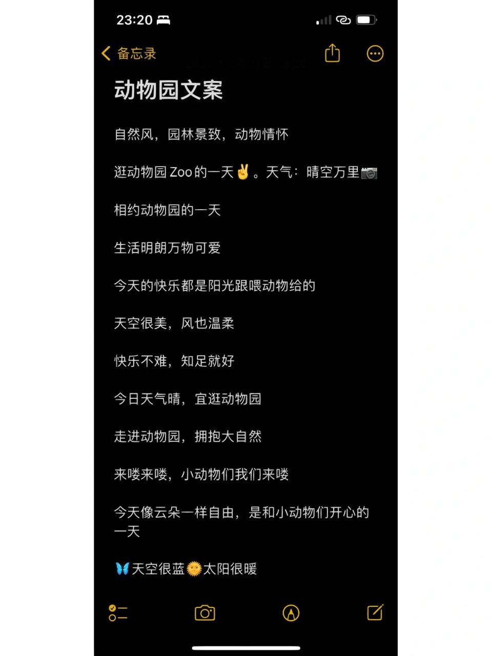 关于动物的创意文案图片