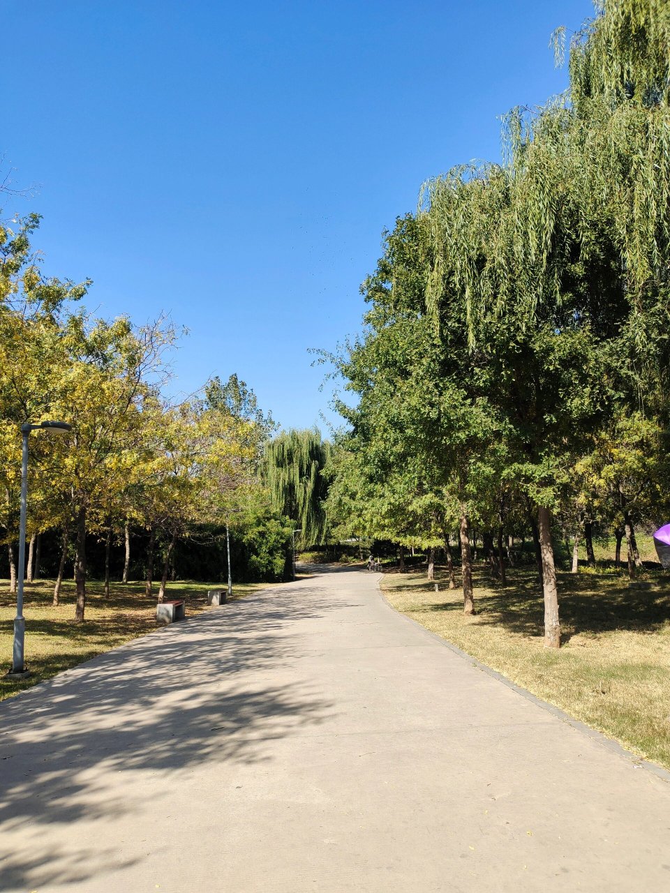 庄里游‖翠屏湿地公园南园 99 	 翠屏湿地公园位于石家庄鹿泉区