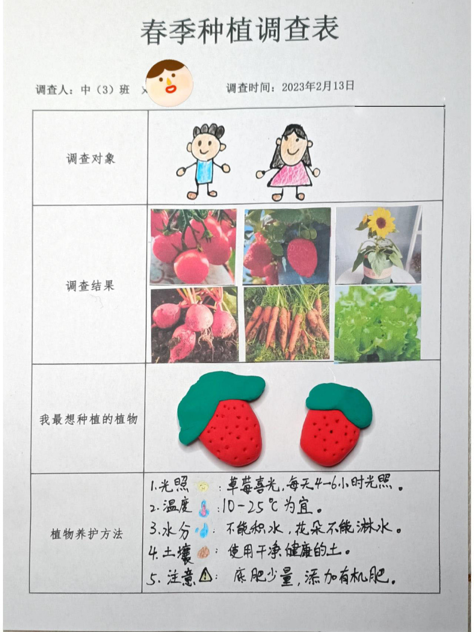 幼儿春季种植调查表 幼儿春季种植调查表
