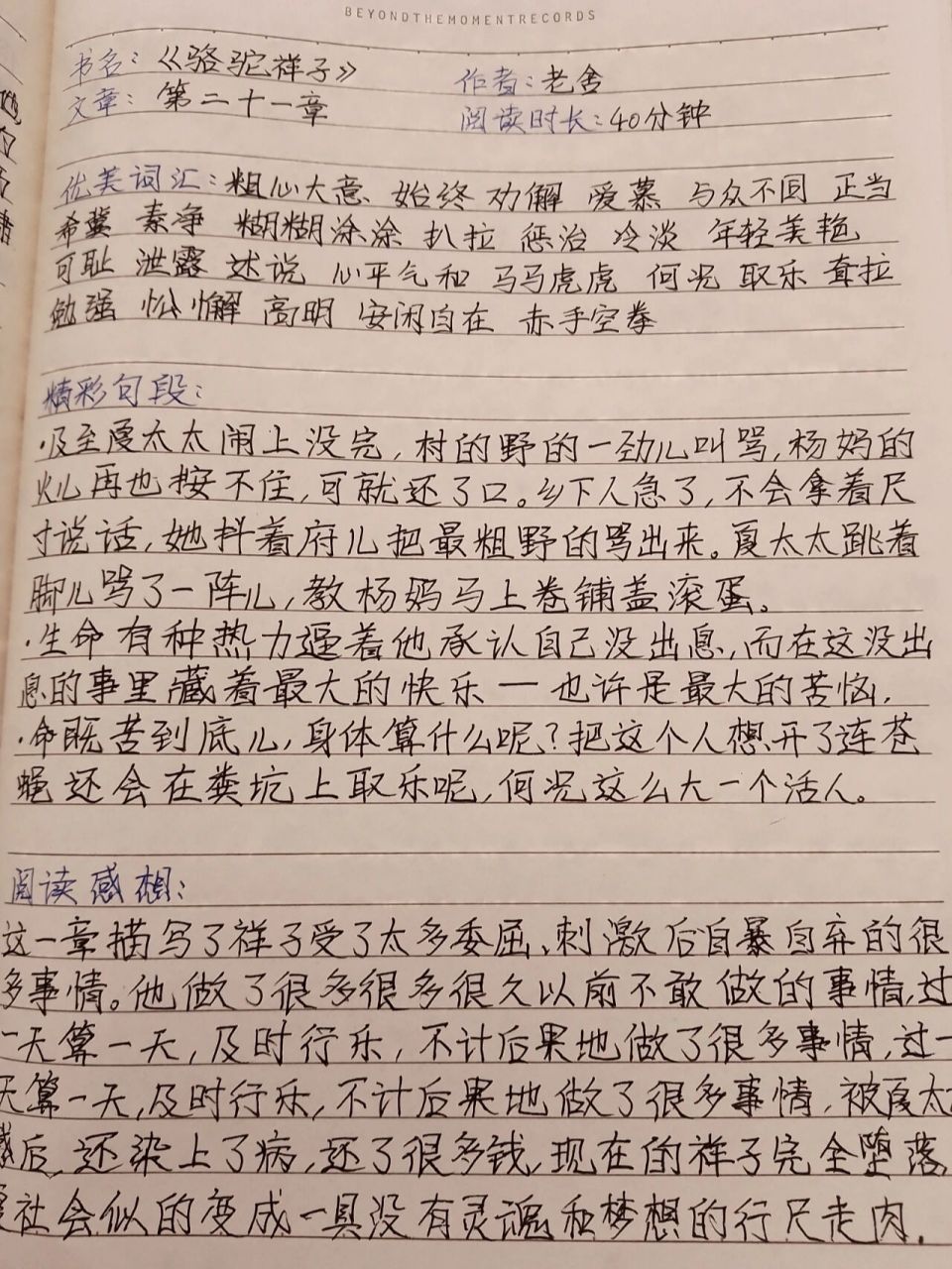 《骆驼祥子》读书笔记21~24章完结