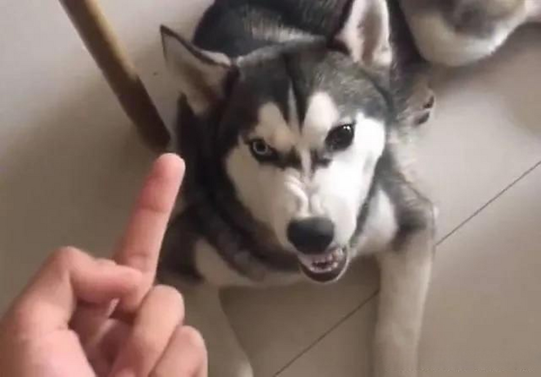 开始没太在意,关键开始我也不知道现在比中指是