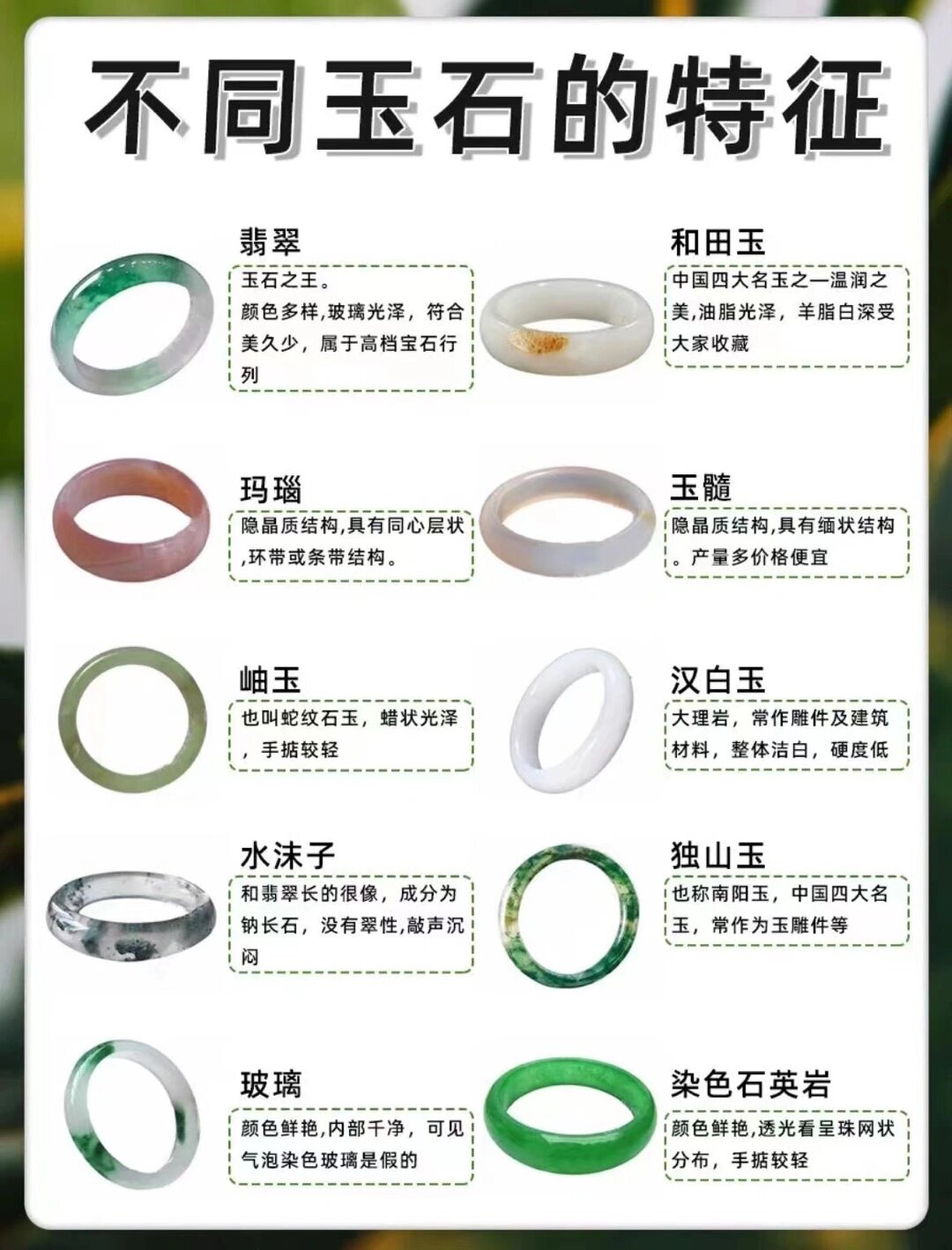 玉和翡翠的区别在哪里(金丝玉和翡翠的区别在哪里) 第1张