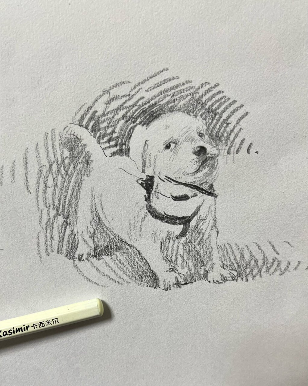 画个忠犬·拉布拉多 画一组超级聪明的拉布拉多,有人会问,为什么我用