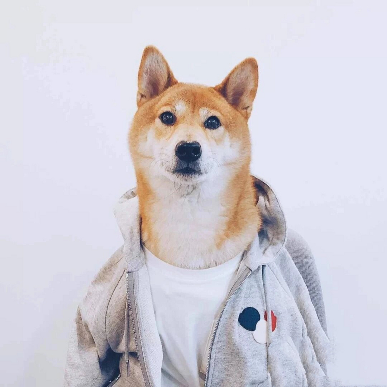 潮男头像 最帅的潮男头像@