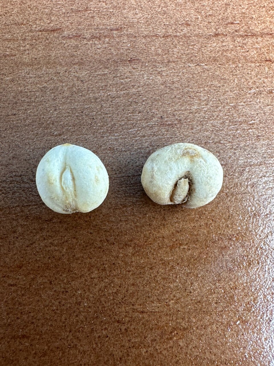 给宝宝咳嗽买的川贝,哪一种是真的71 1号是浙贝,可以看见体型巨大
