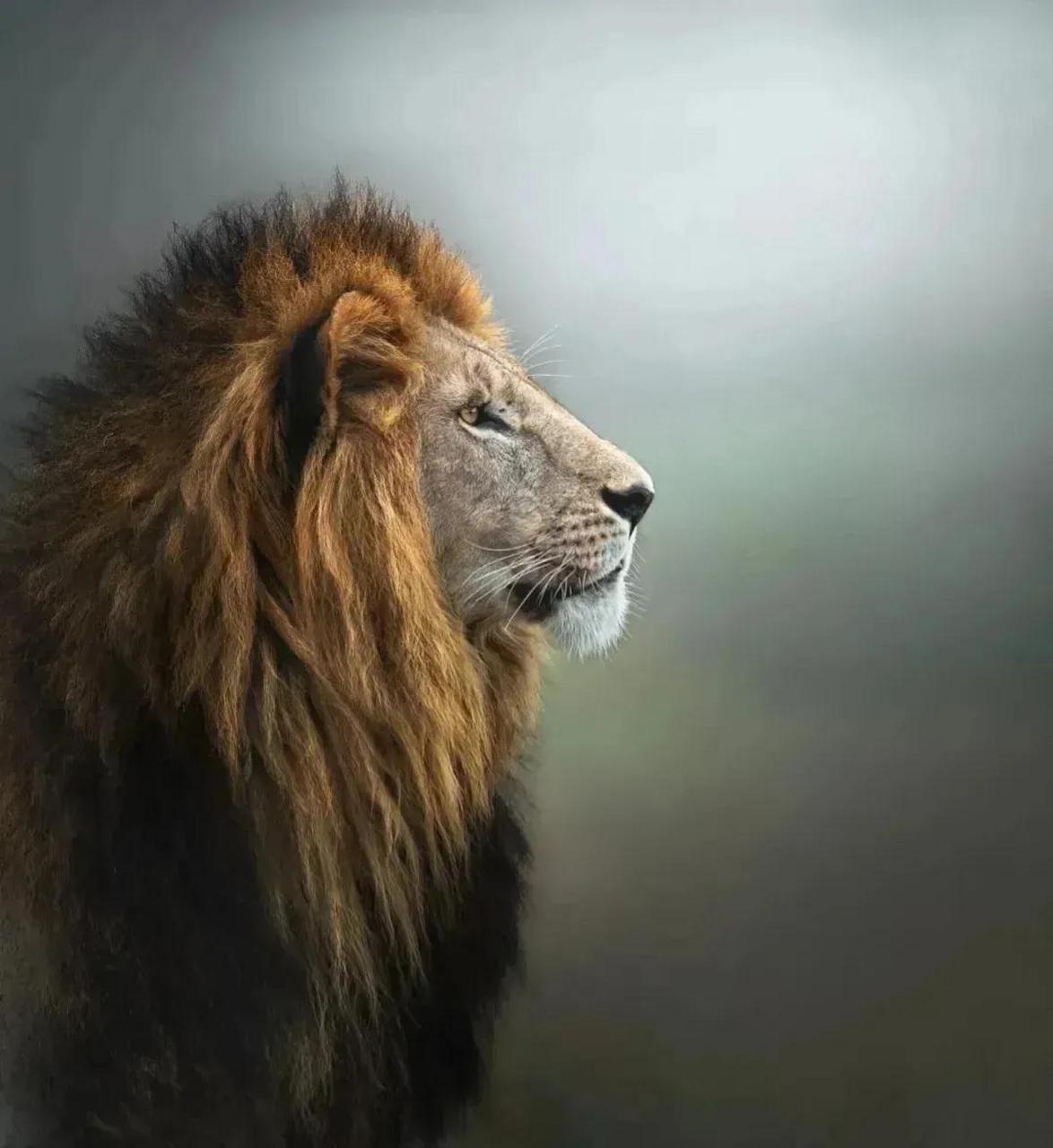 能否发表一句,今后感悟 关关难过关关过!只要努力,未来会越来越好的!