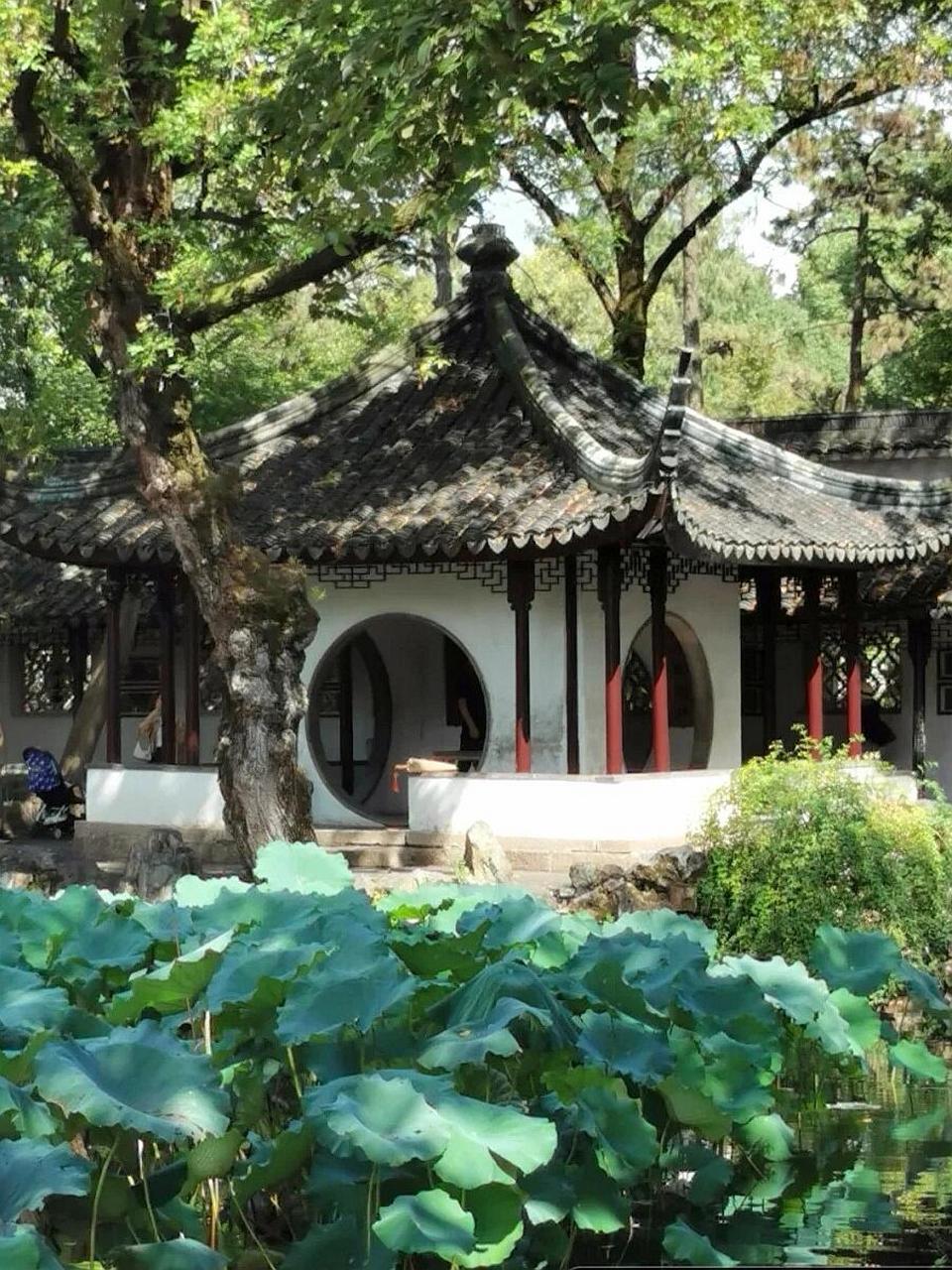 拙政园,别具一格的梧竹幽居亭 "梧竹幽居亭"位于苏州拙政园中园池塘的