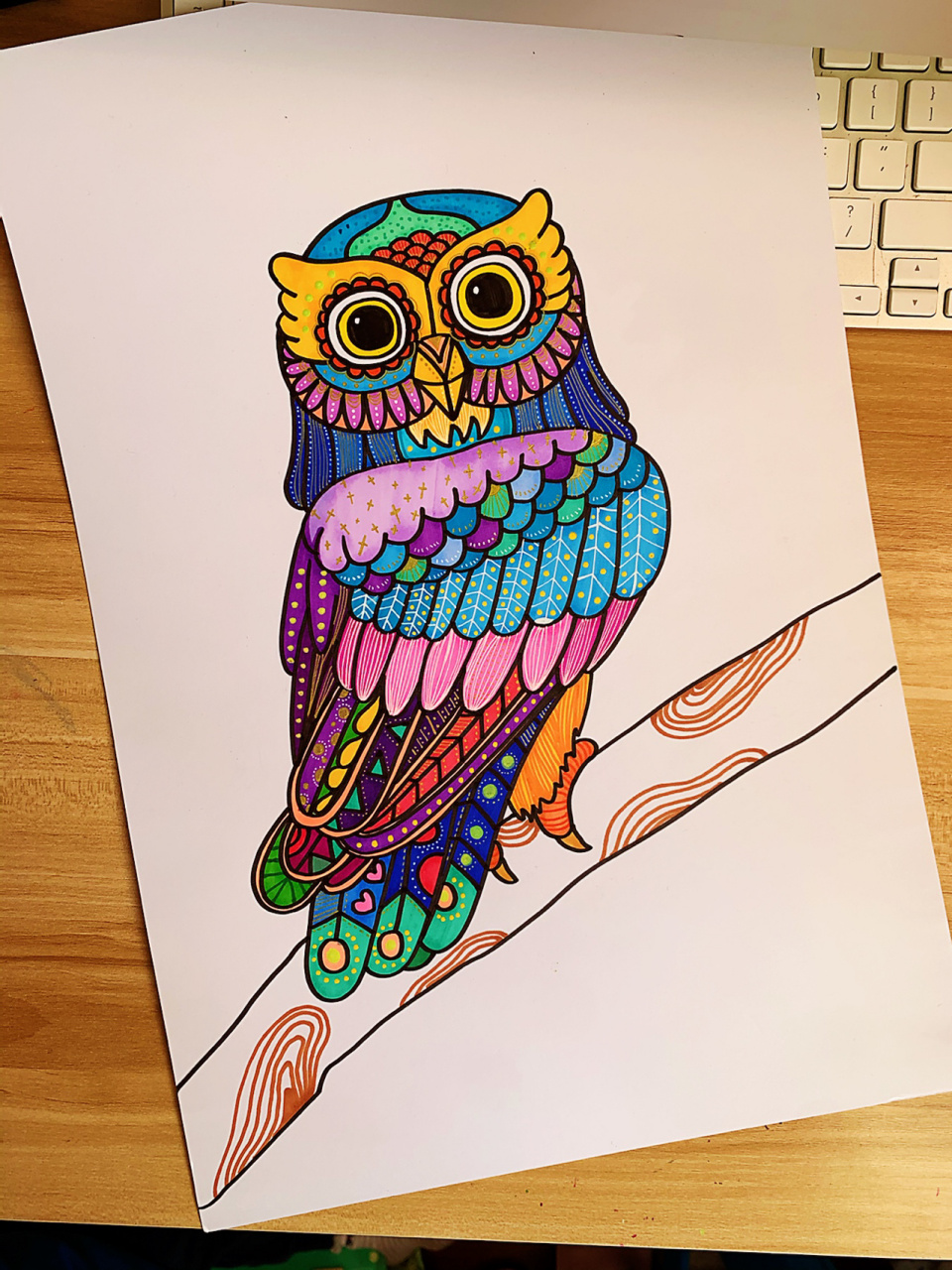 儿童绘画课程教学—《猫头鹰》 这次换了荷兰白卡 上色更加流畅 颜色