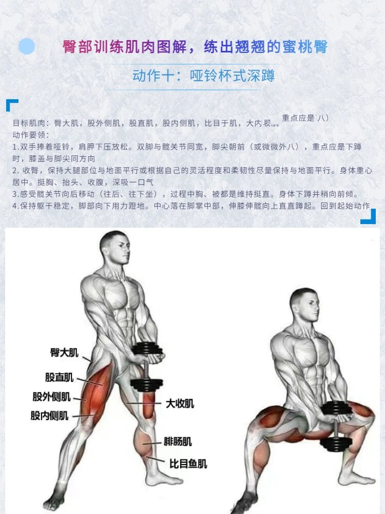 臀部训练肌肉图解,练出翘翘的蜜桃臀(续集) 🌸🌸翘臀身材正是很多