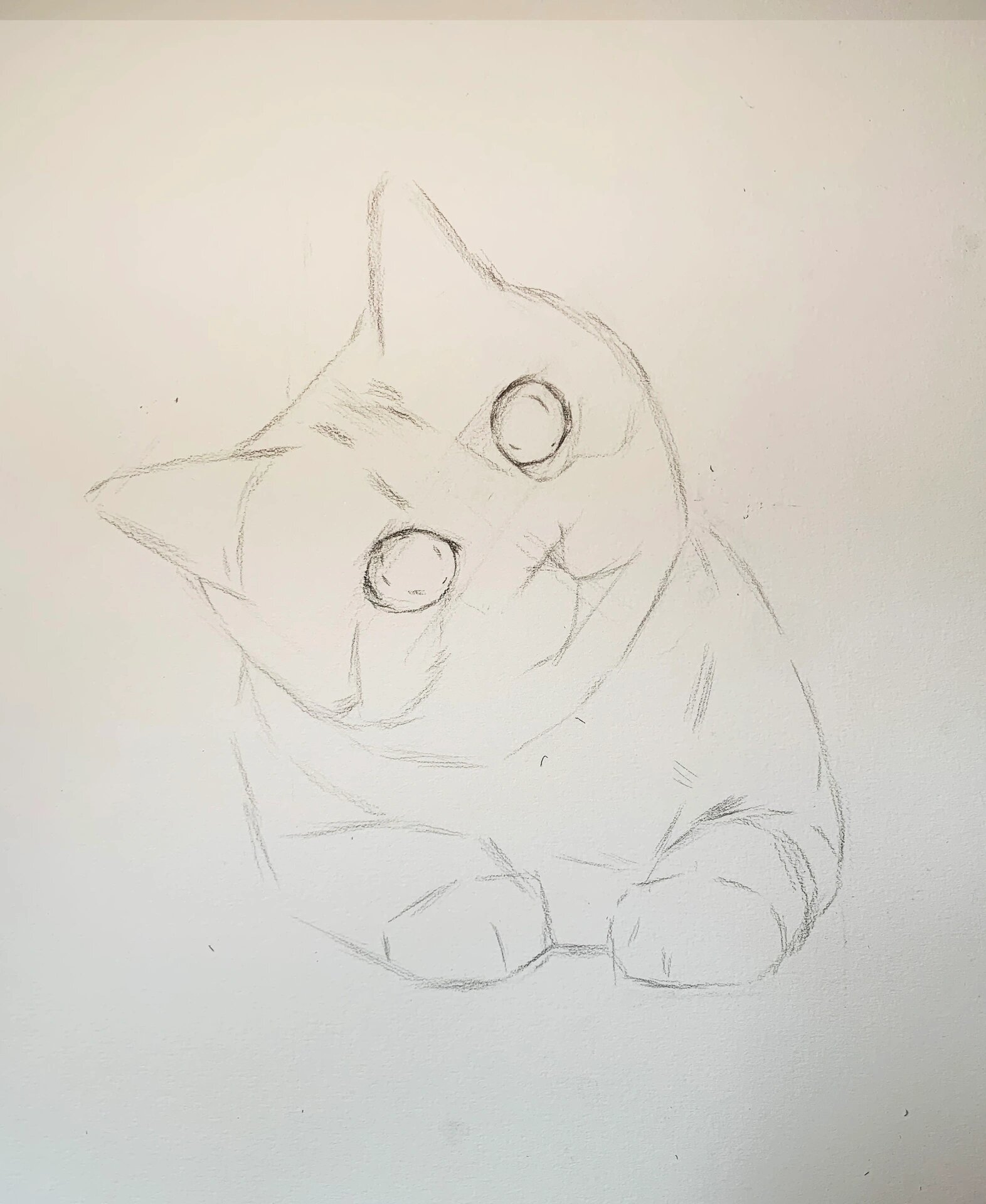 超可爱猫猫素描步骤图