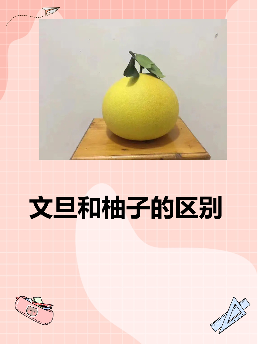 文旦和柚子的区别 文旦和柚子.@独特生活百态的动态