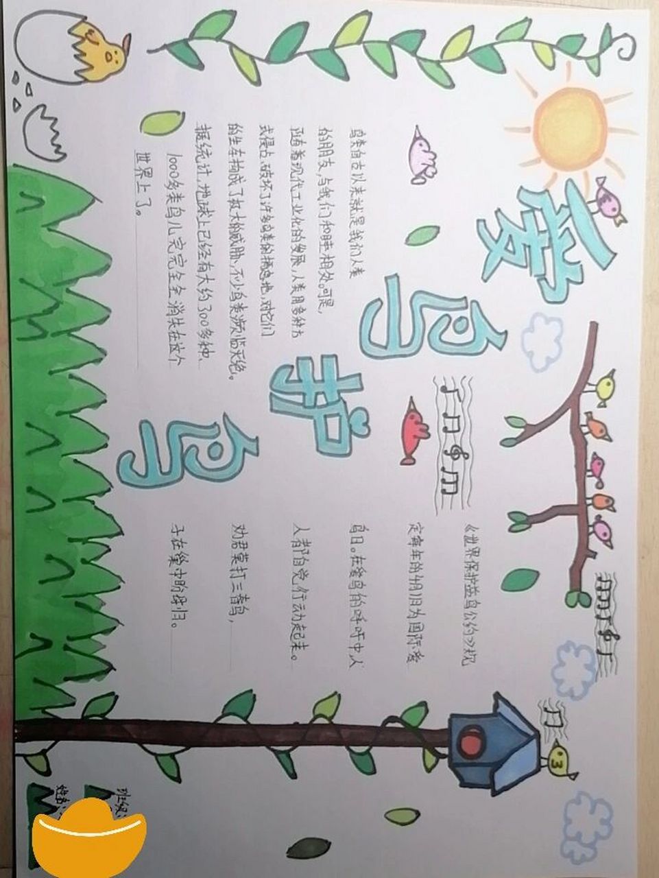 爱鸟护鸟手抄报