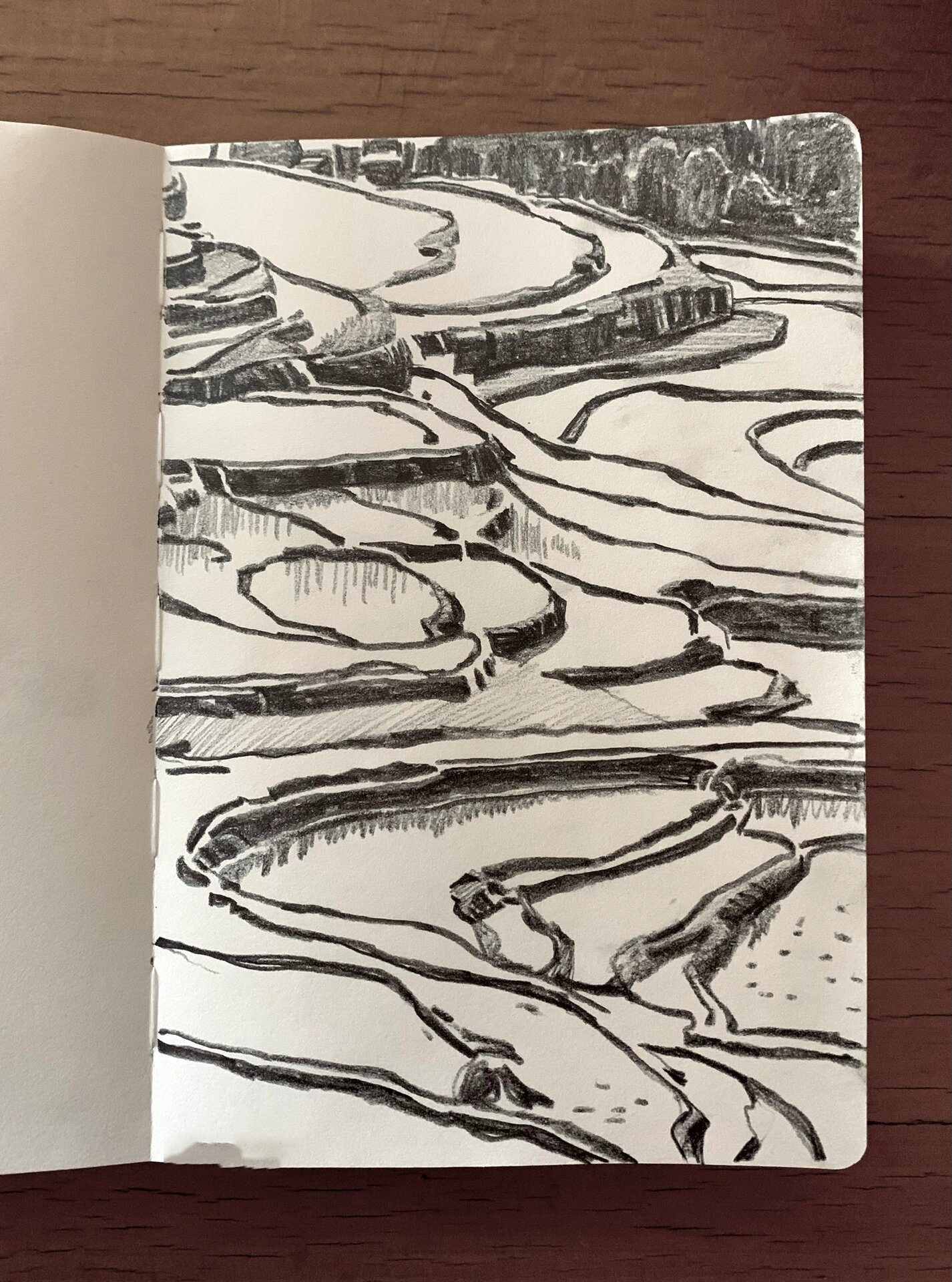 新速写本 画家乡梯田