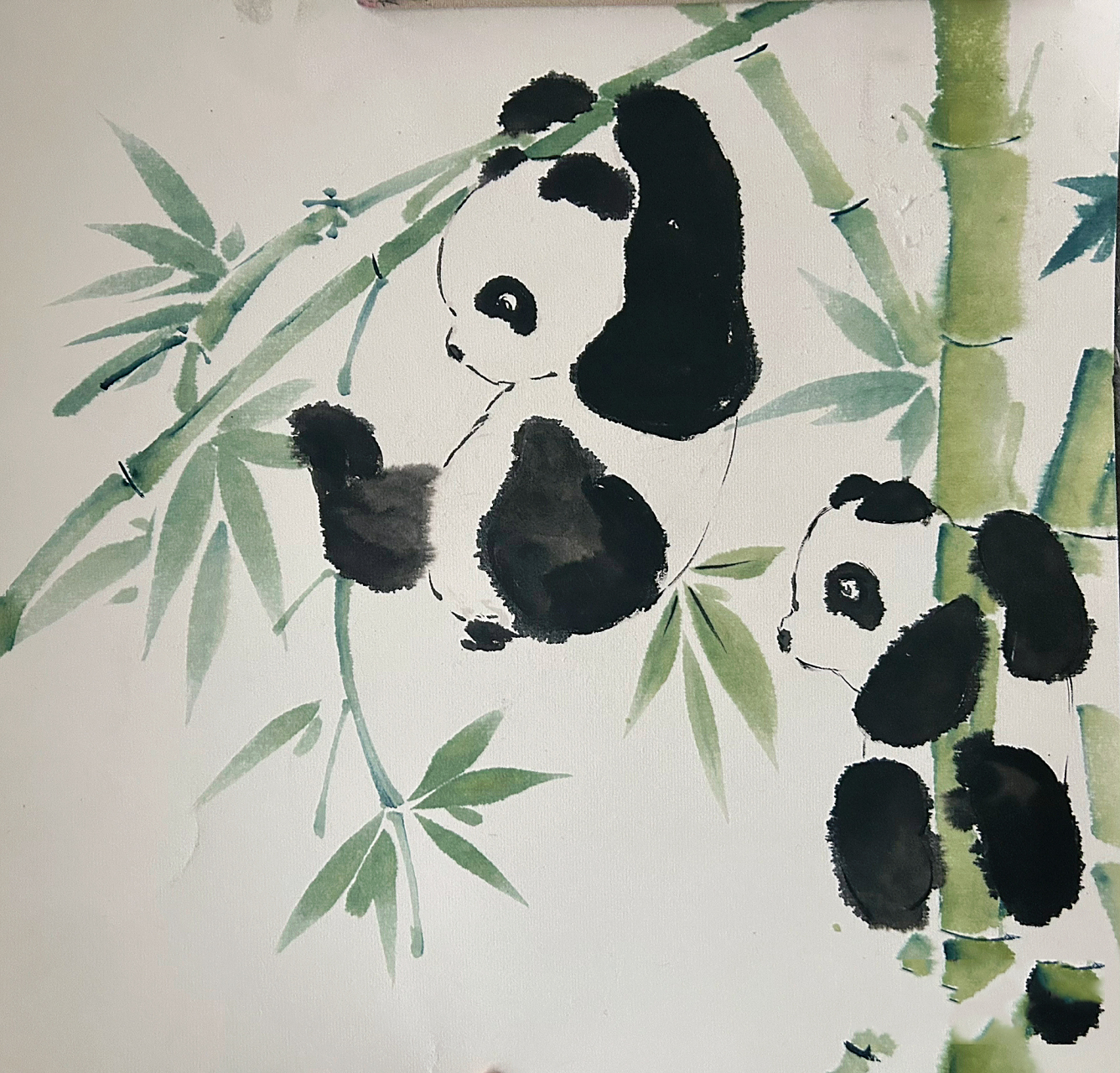 儿童国画花鸟系列44 熊猫图步骤