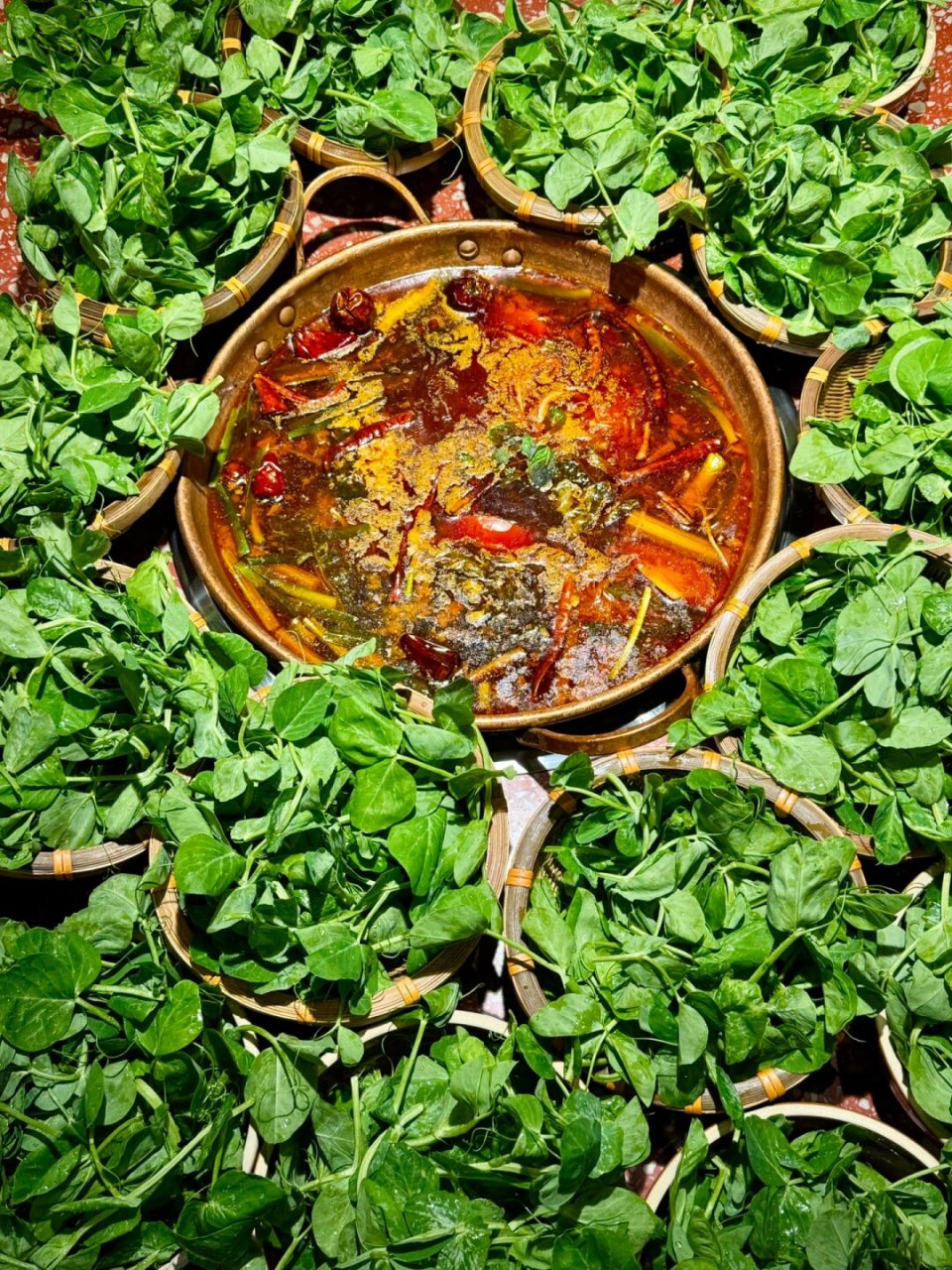 豌豆尖 鸳鸯锅图片