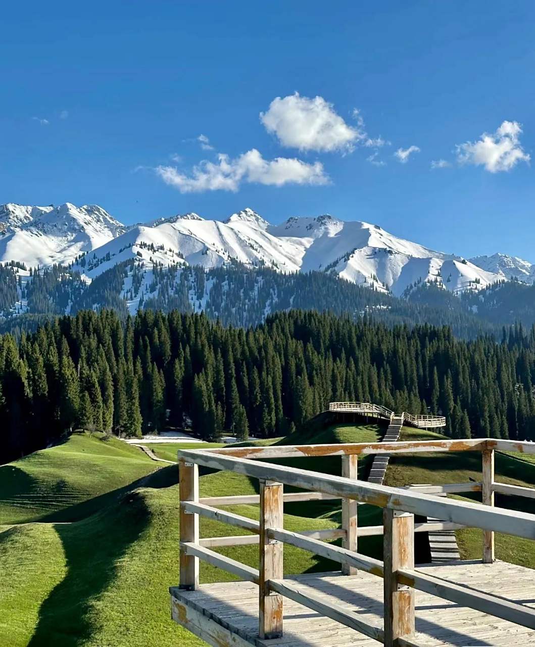 库尔德宁 位于新疆伊犁巩留县东部山区 她不仅是雪岭云杉最集中的地方