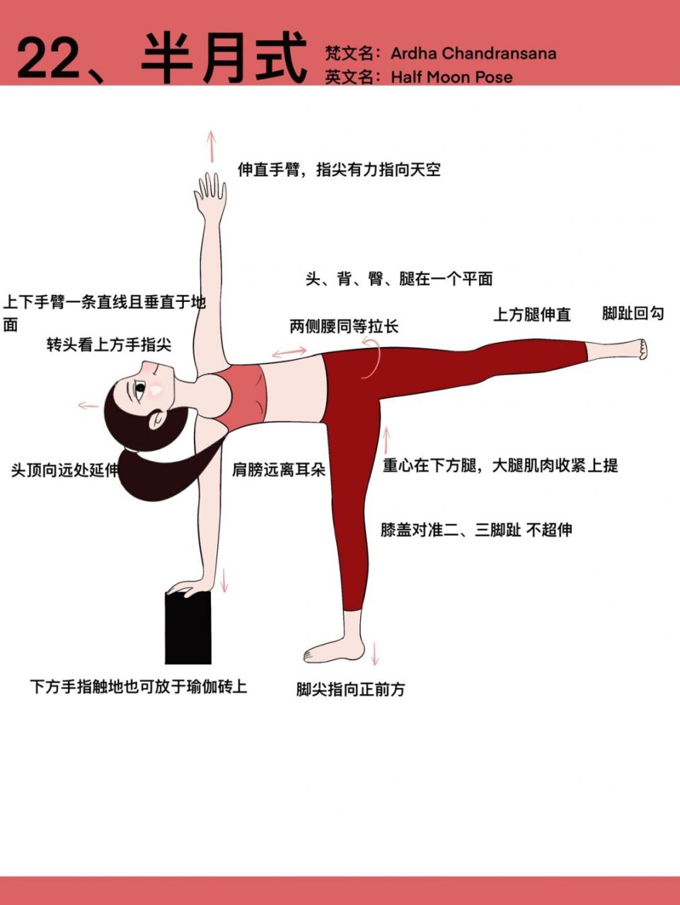 瑜伽半月式十二式步骤图片
