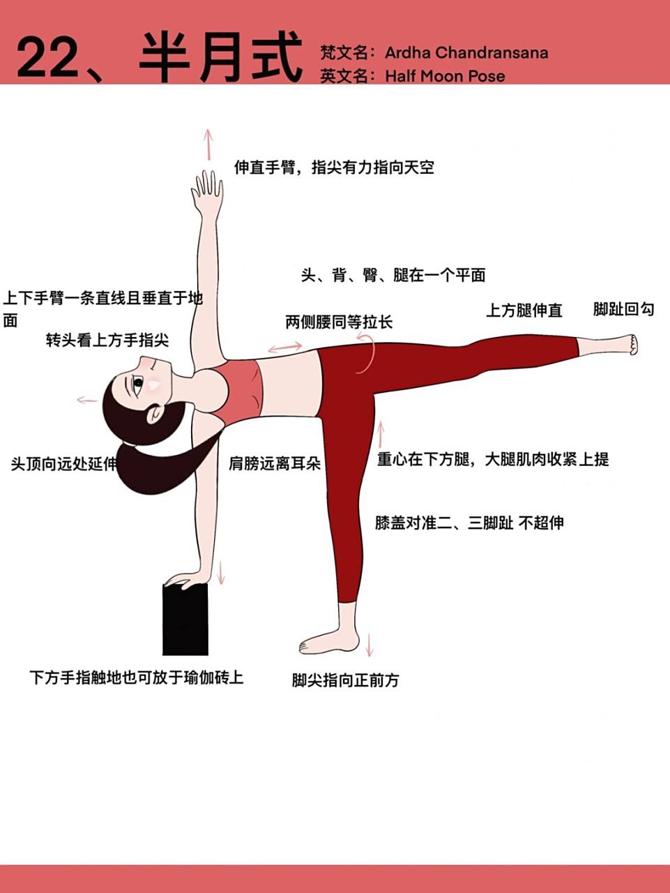 瑜伽插画|瑜伽体式笔记—半月式 看着简单,做着难.