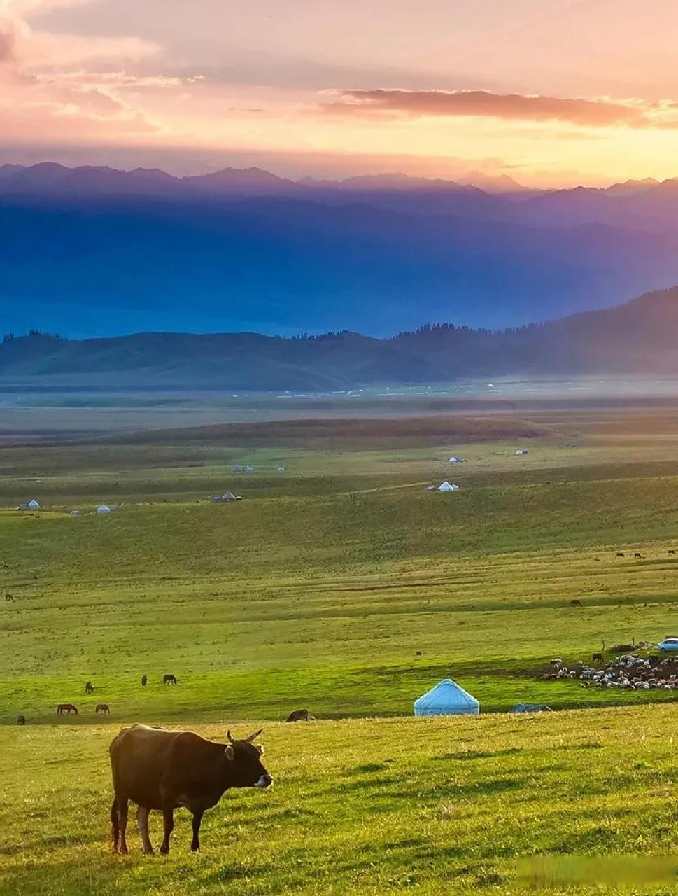 新疆旅游|喀拉峻大草原|醉美的立体草原  喀拉峻草原被《国家地理》称