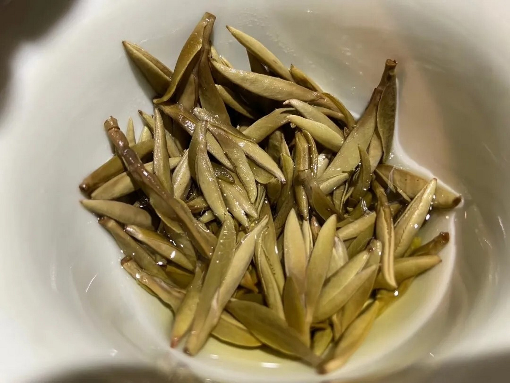 干货|叶底识茶,白茶优劣一看便知 白茶的好坏,茶友们心中往往都有自己