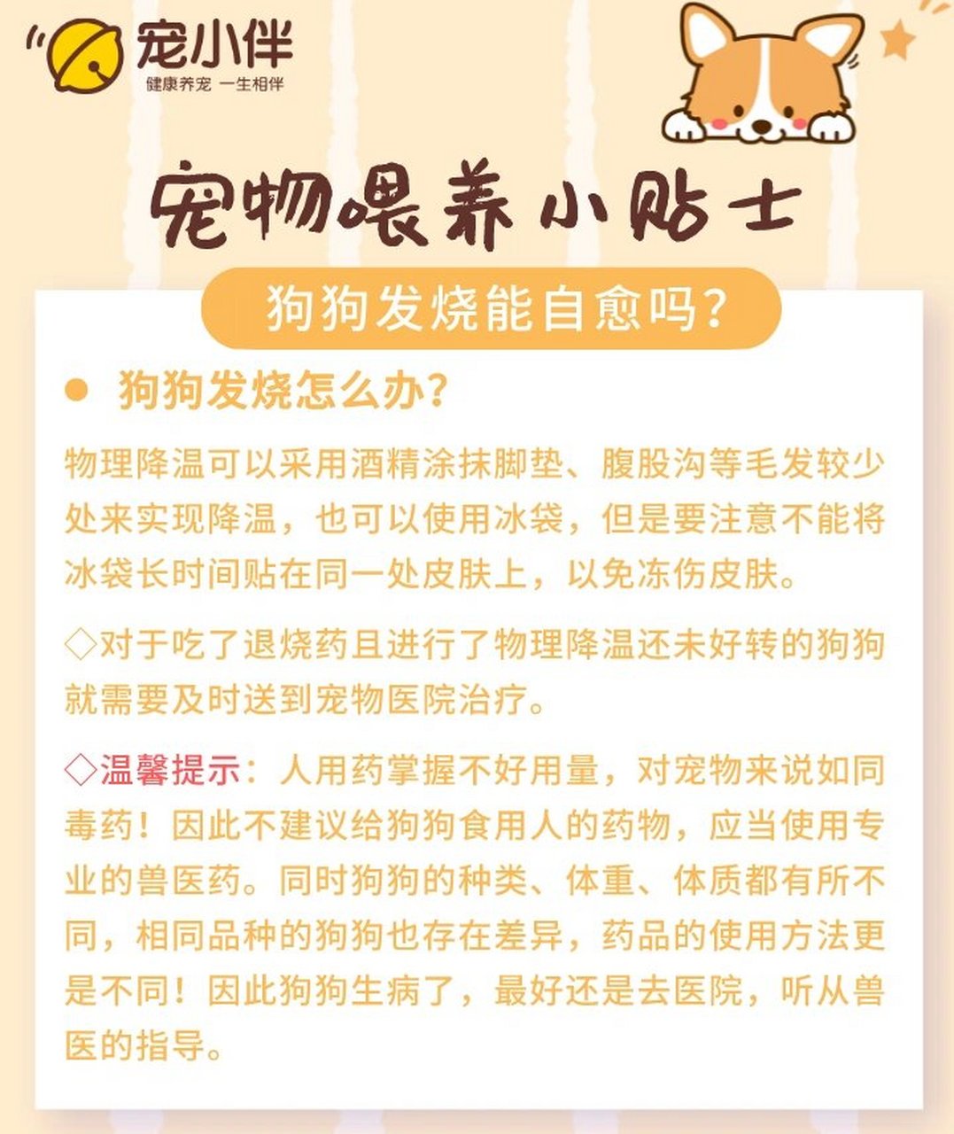 【宠小伴养宠小知识】系列2:狗狗发烧怎么办 狗狗发烧一般不能自愈
