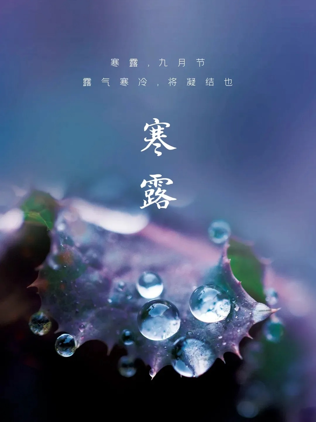 《西江月寒露寄愿》