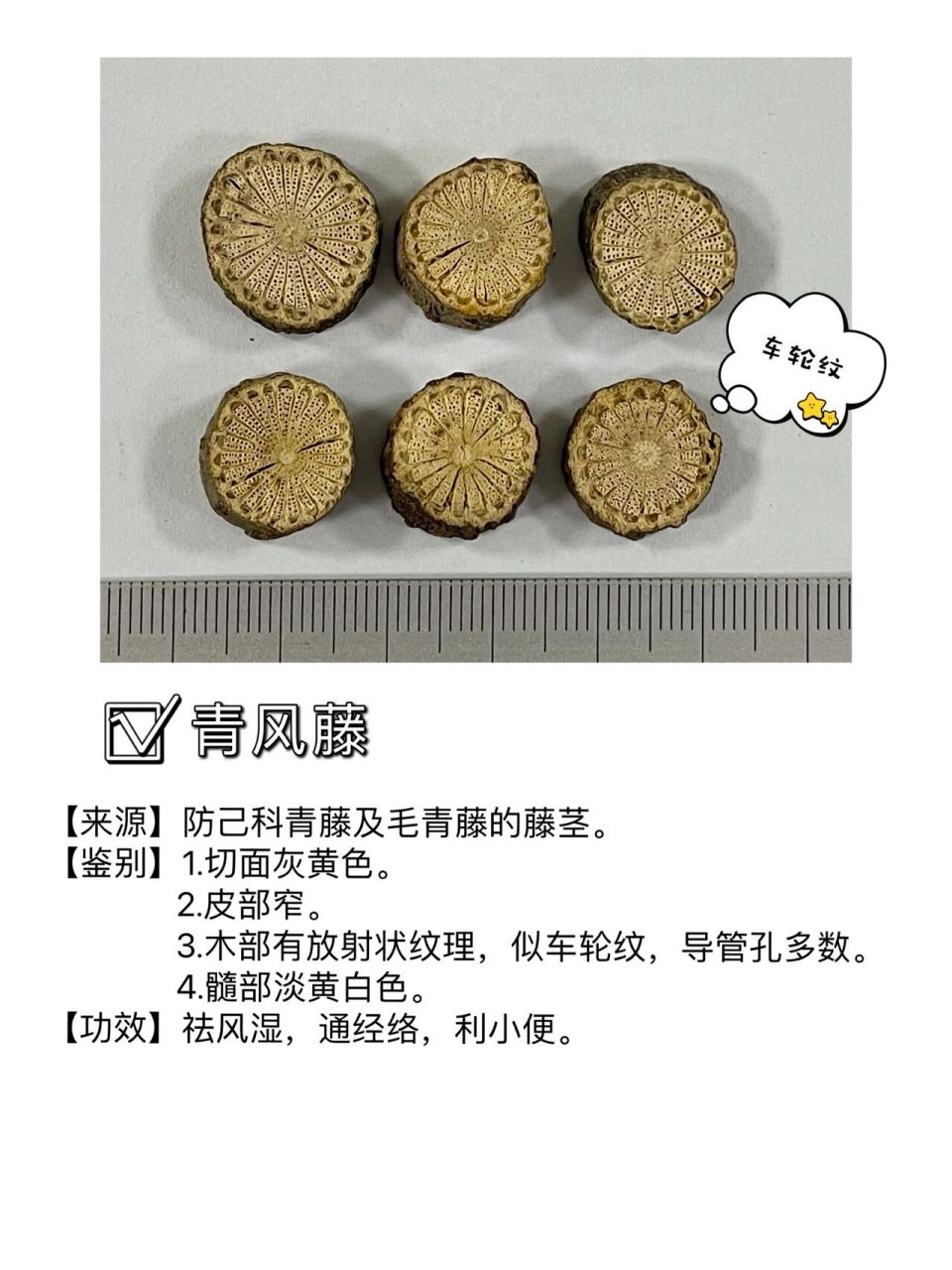 茎木类中药鉴别要点整理
