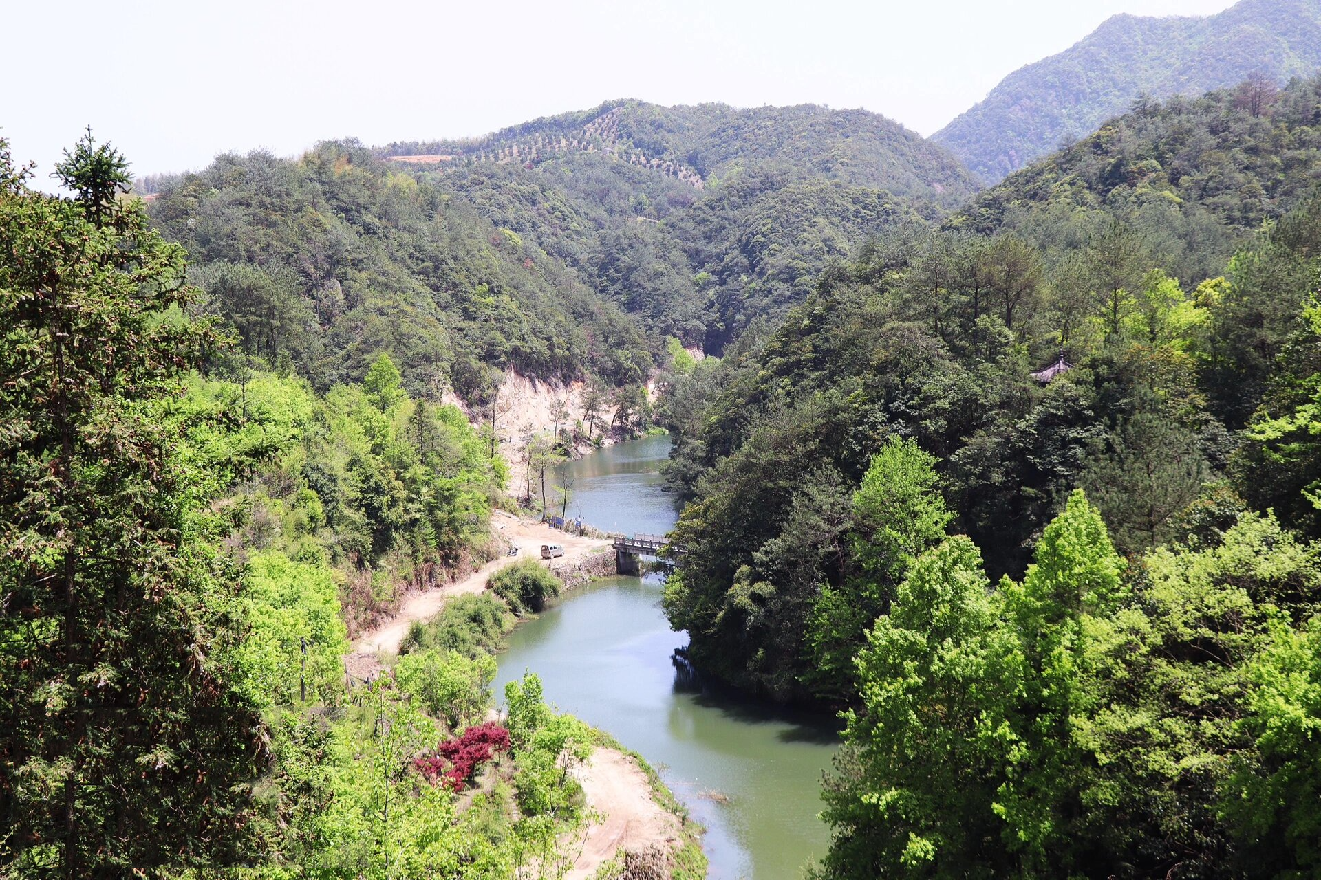 宁波宁海马岙村,望海岗梯田茶园成为网红地