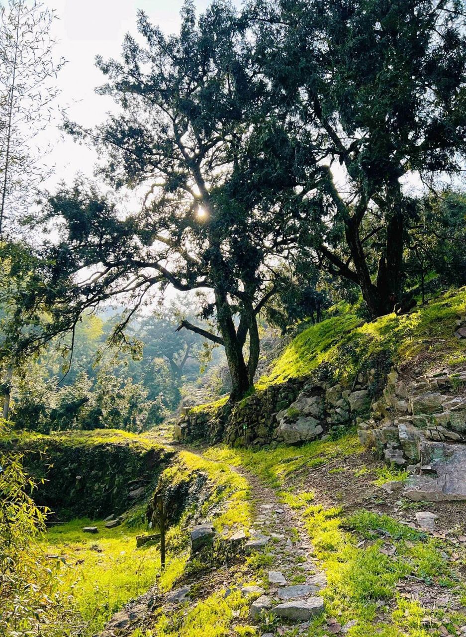 诸暨十大山峰图片