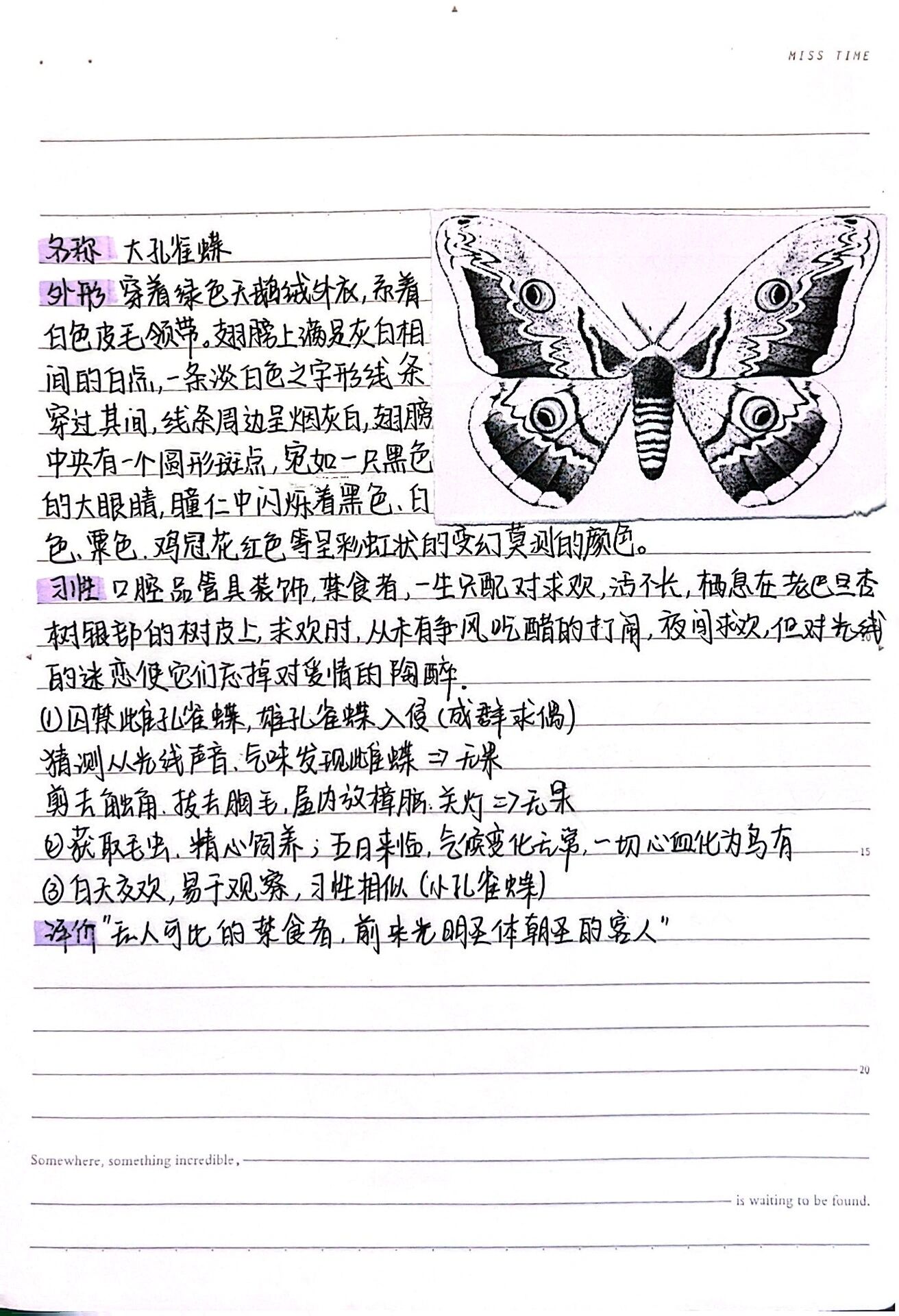 《昆虫记》大孔雀蝶