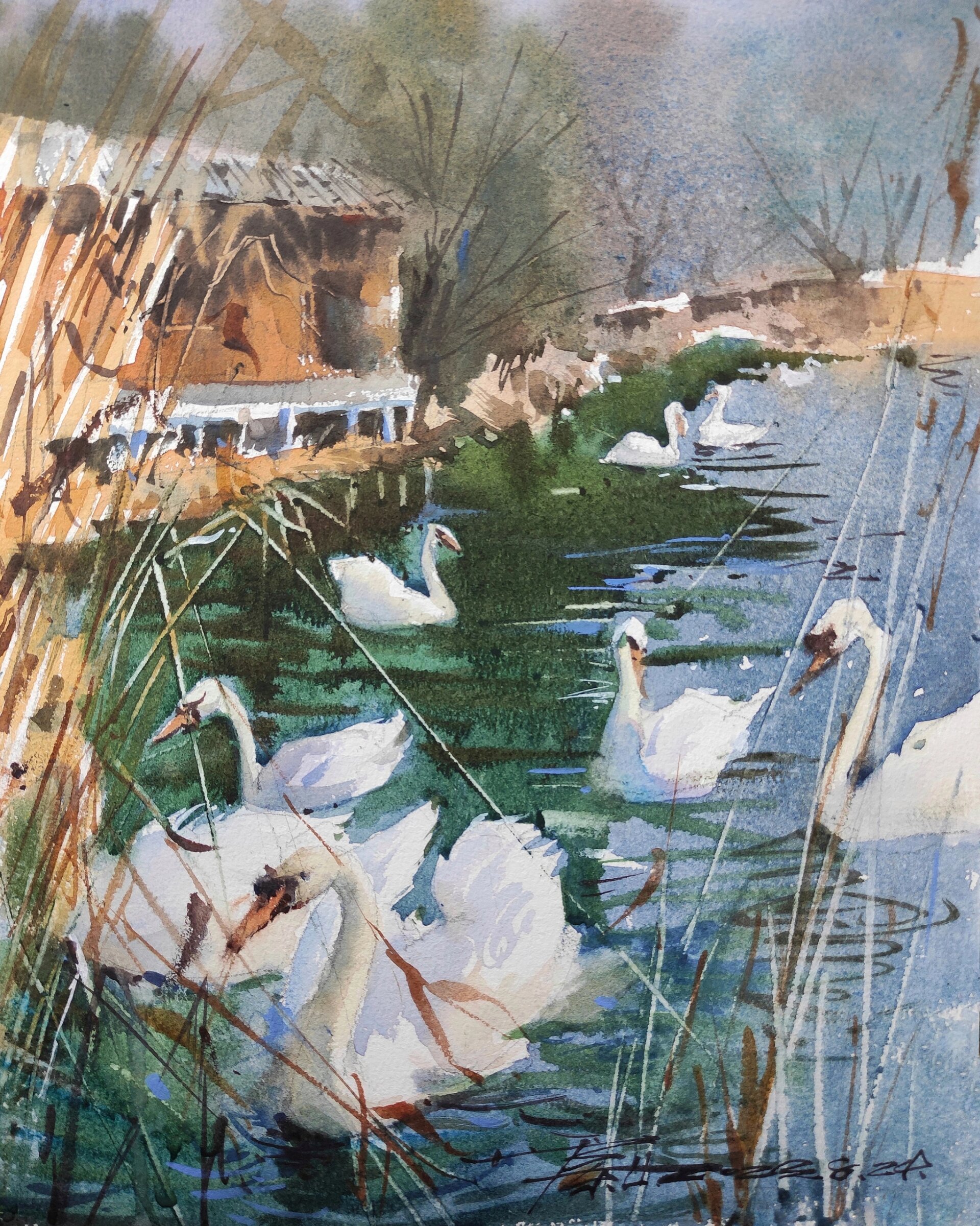 水彩 湖里的大白鹅