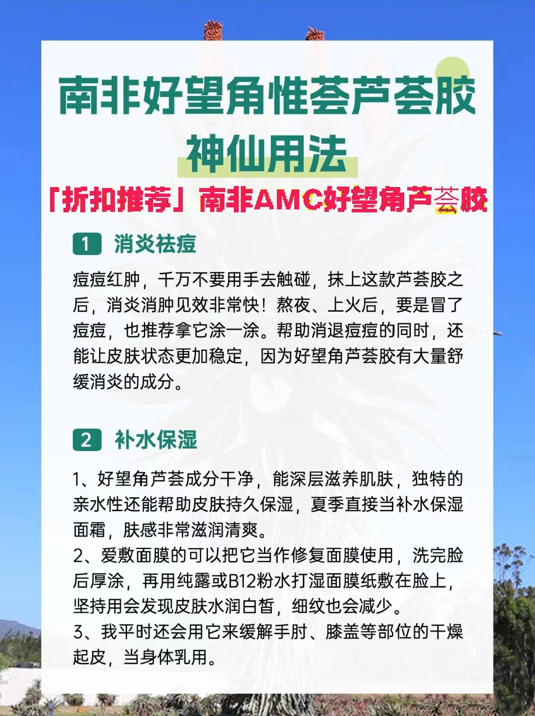 南非芦荟胶 南非进口amc芦荟胶开普芦荟植物(英文名:aloe gel是开普敦