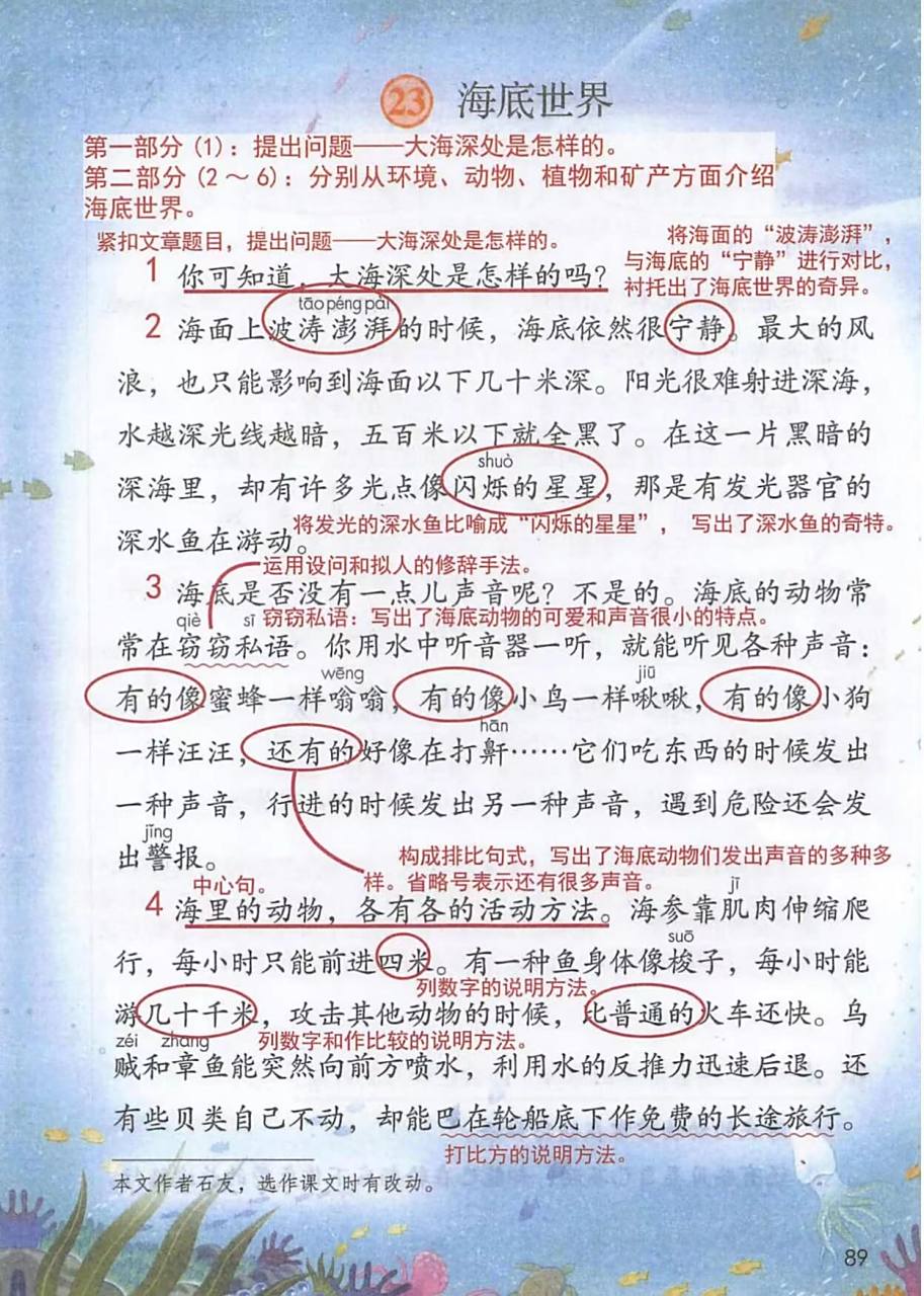 三下语文《海底世界》课堂笔记 三年级下册第23课《海底世界》课堂