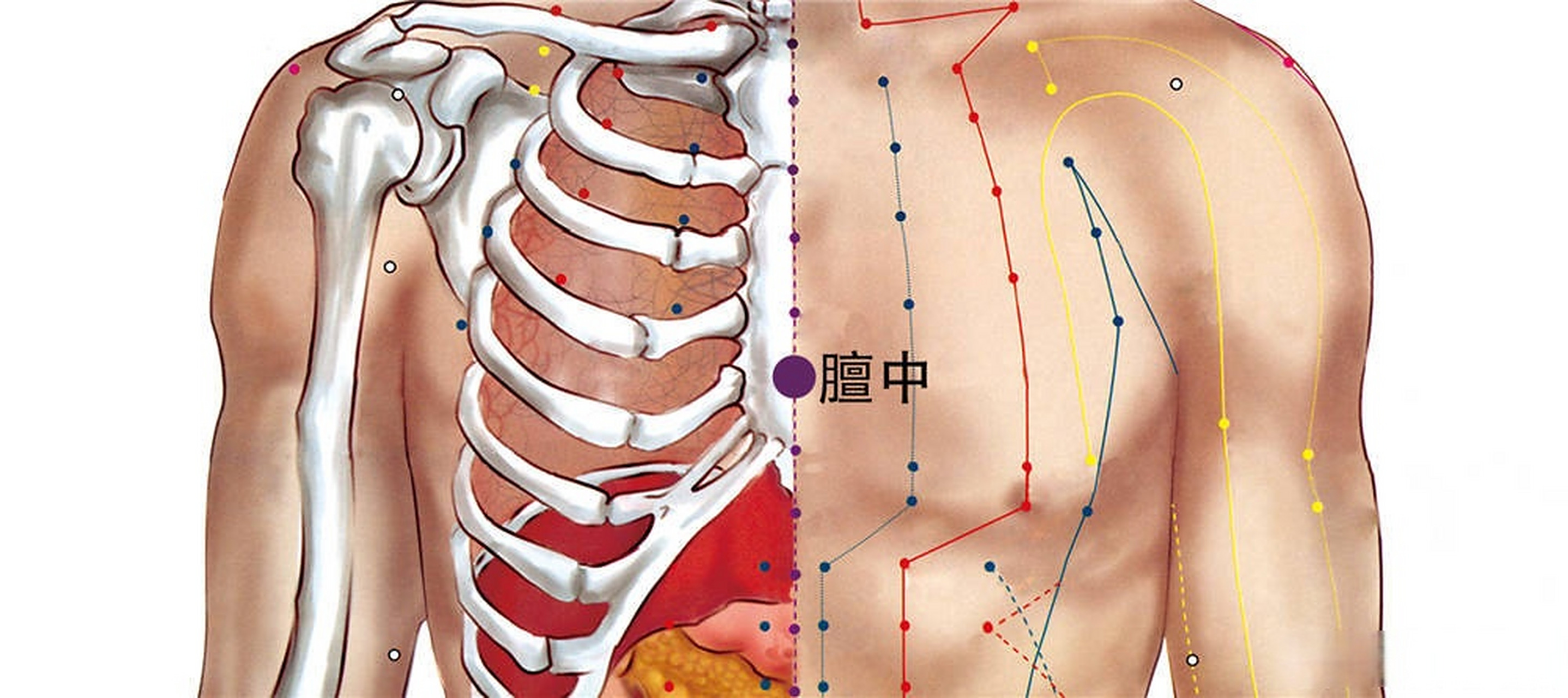 最近心情一直都很不好,胸闷,气短,胁肋偶尔还胀痛,喉咙一直都感觉像有