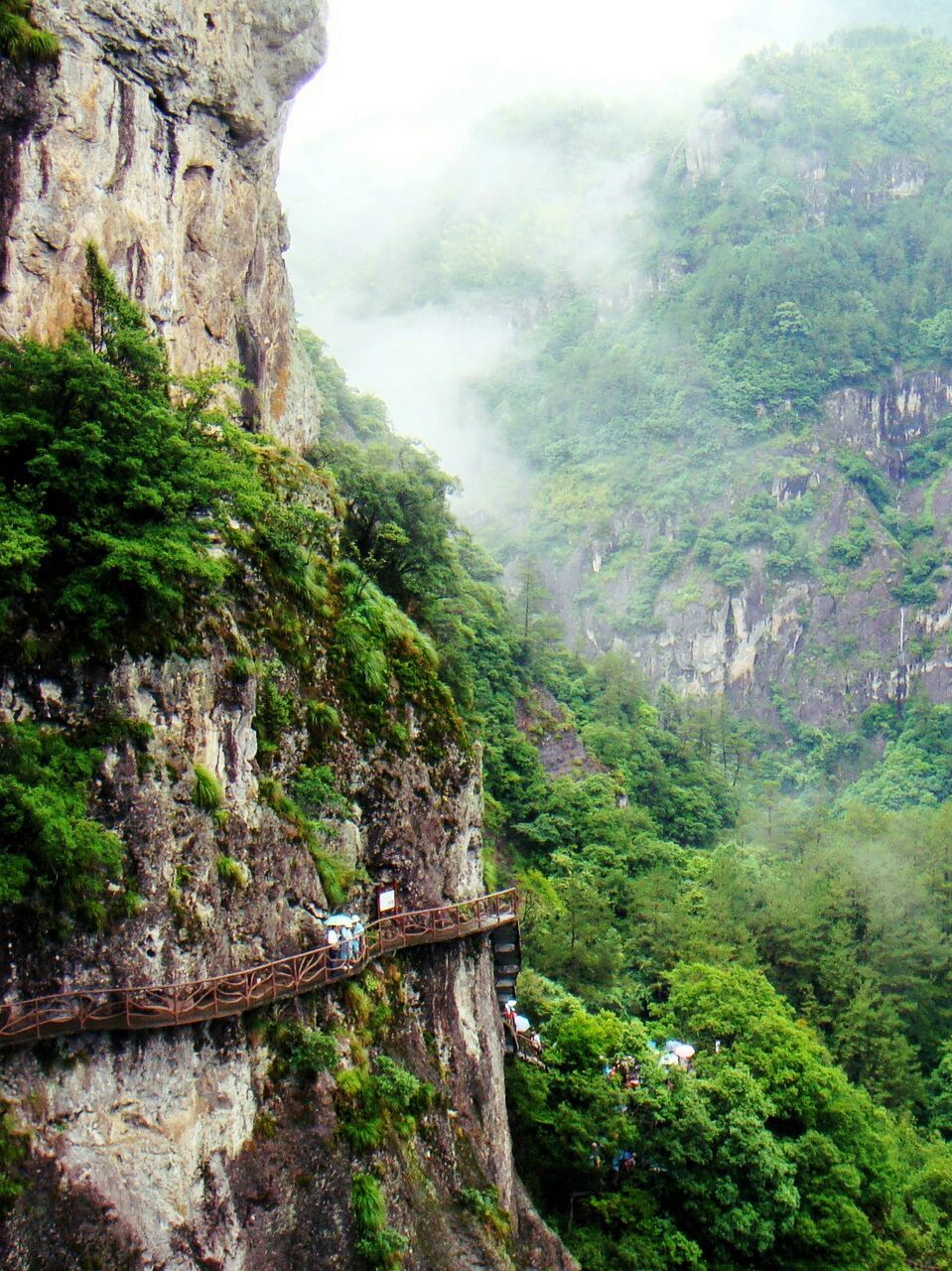 夏日避暑游|福建宁德鸳鸯溪景区 炎炎夏日去哪玩,如果去福建的话,推荐