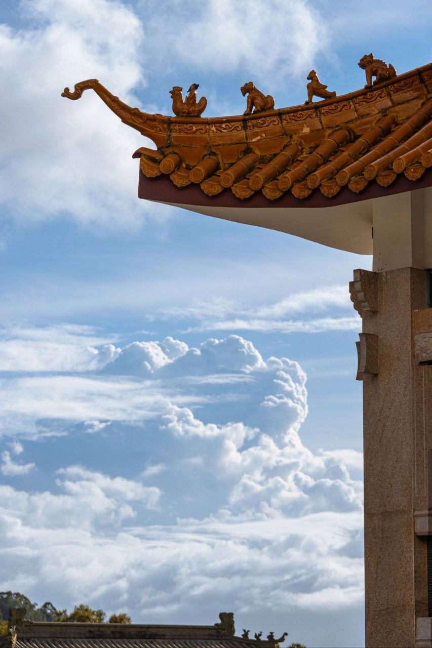 深圳 凤凰山森林公园 99:深圳市宝安区福永街道凤凰社区凤凰山森林