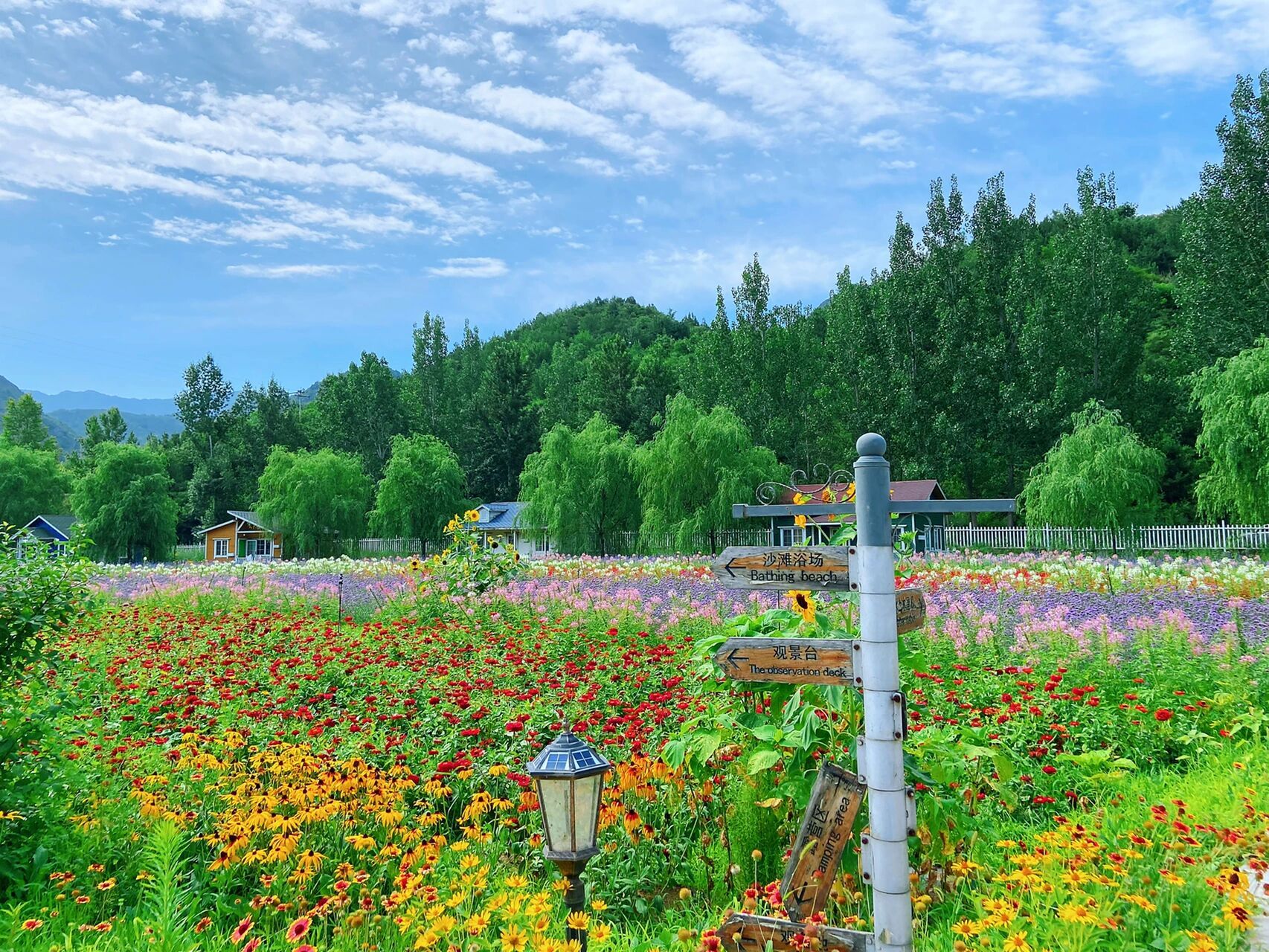 打卡京郊最美泳池/密云人间花海 炎炎夏日,当然要有阳光沙滩9215