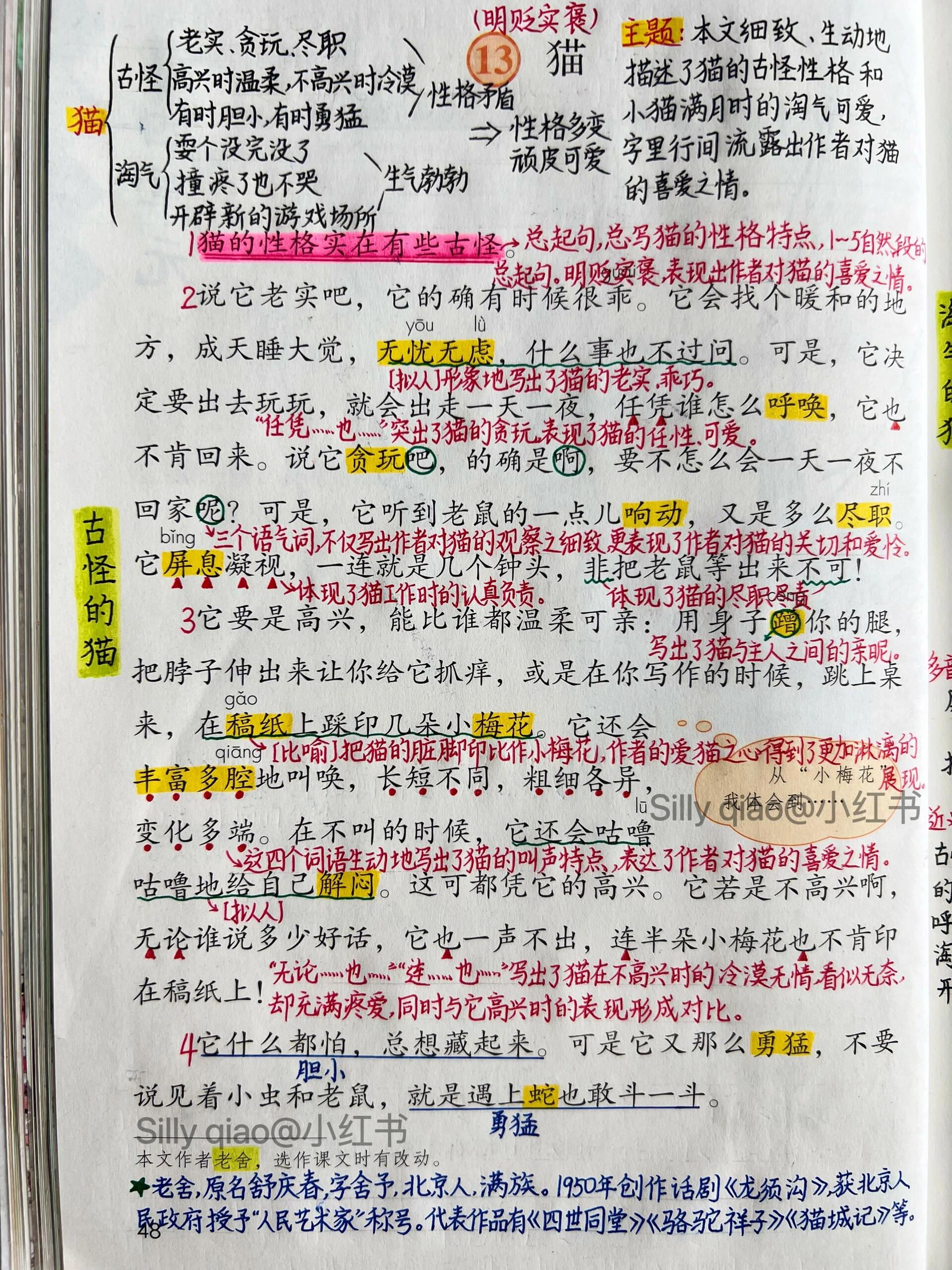 四年级下册语文|第13课《猫》详细备课笔记