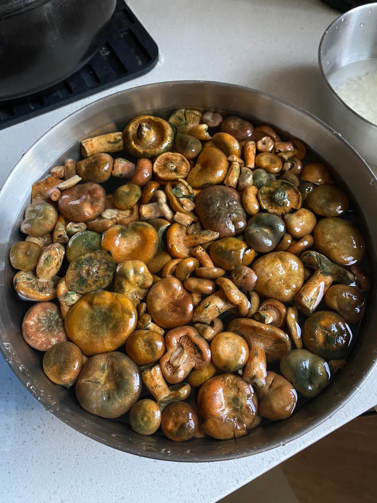 常熟特产蕈油 常熟虞山上的松树蕈,又称雁来蕈.